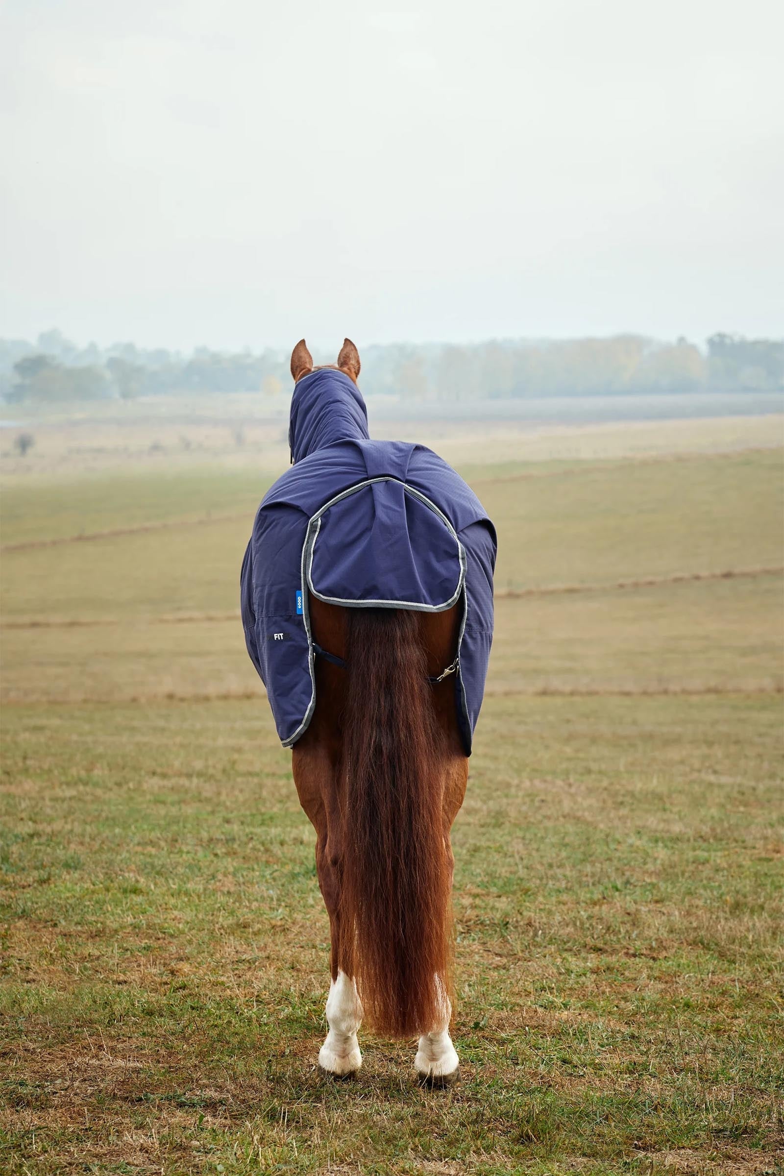 Weatherbeeta Comfitec Tyro Turnout Rug Combo Neck 220g Horse Rugs