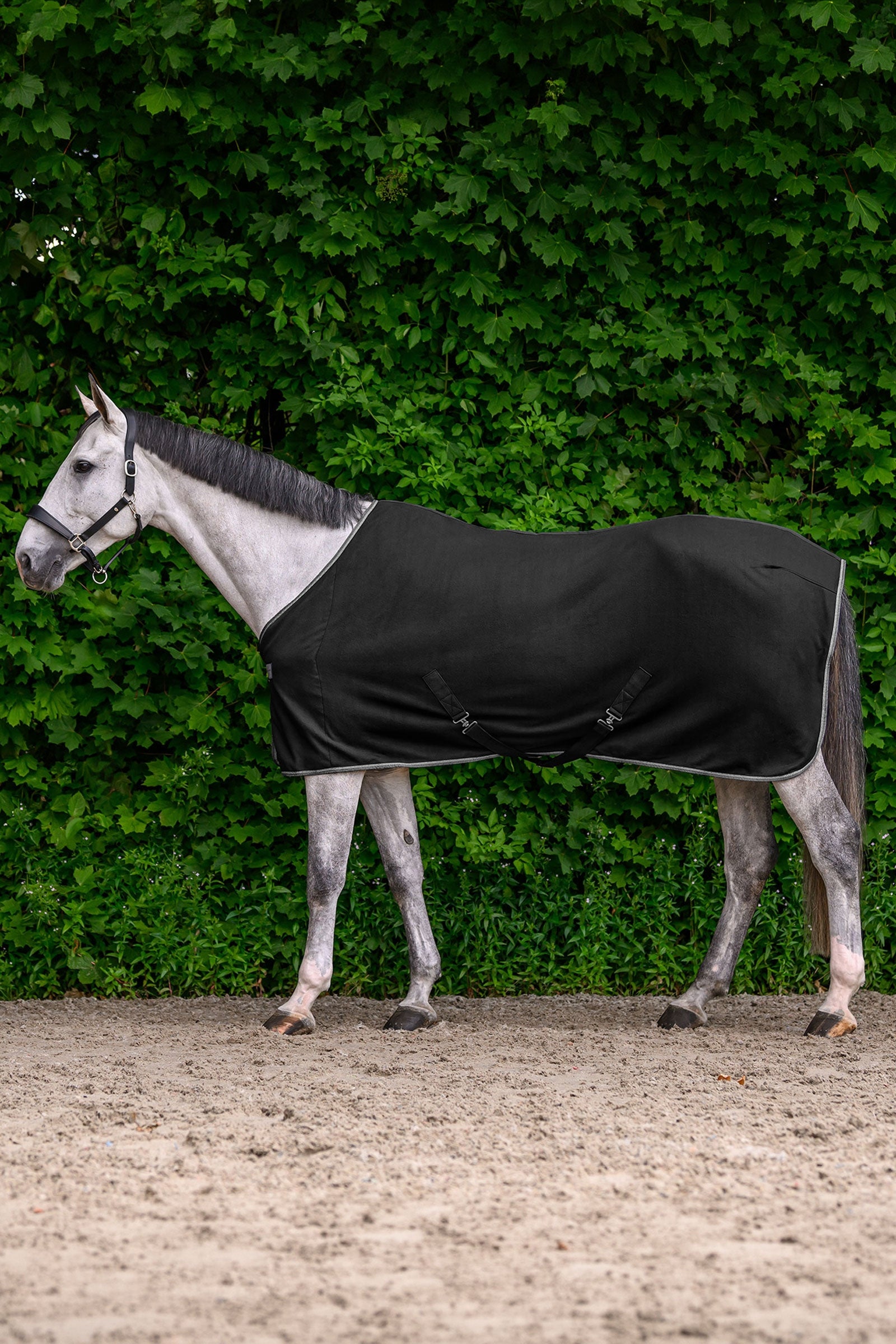 Waldhausen ECONOMIC fleecedekken med kryssgjorder Dekken