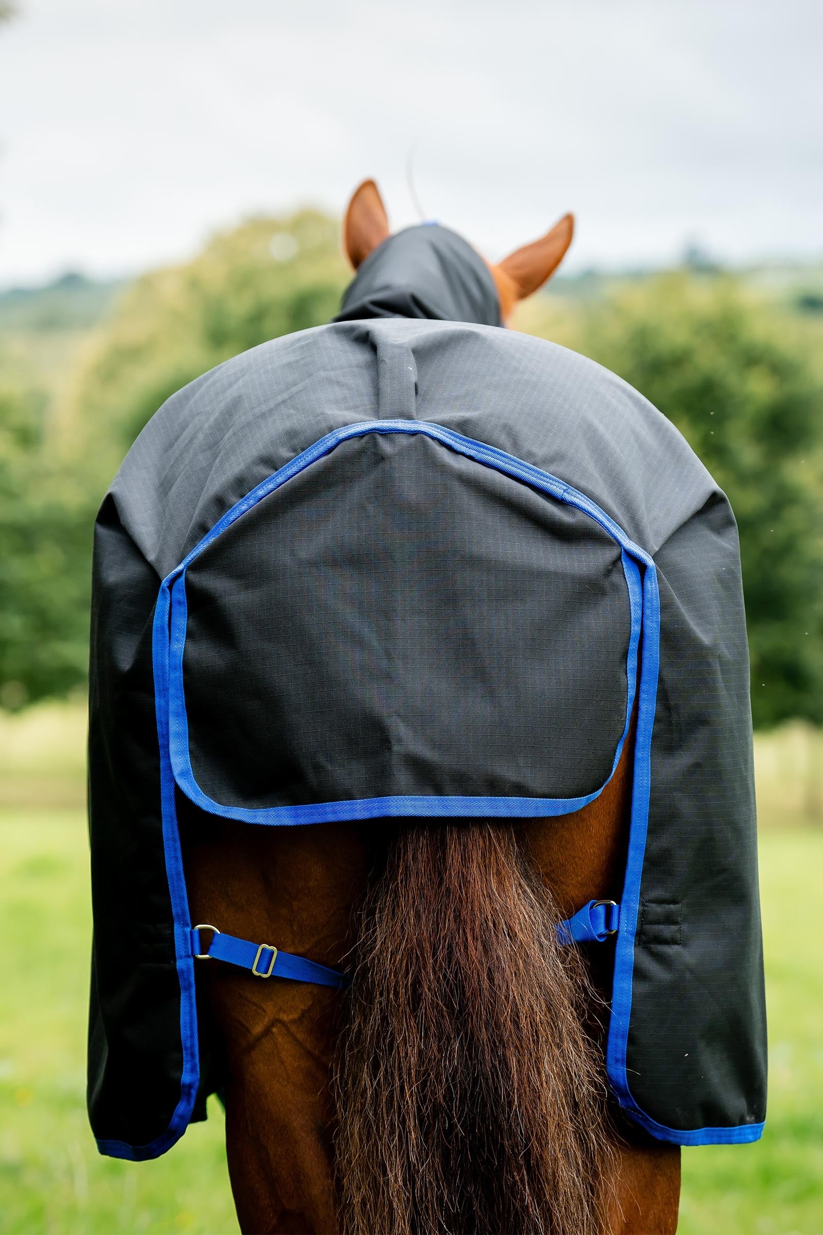 Horseware Amigo Ripstop 900D Fleece Lined Turnout Rug, 50 g Horse Rugs