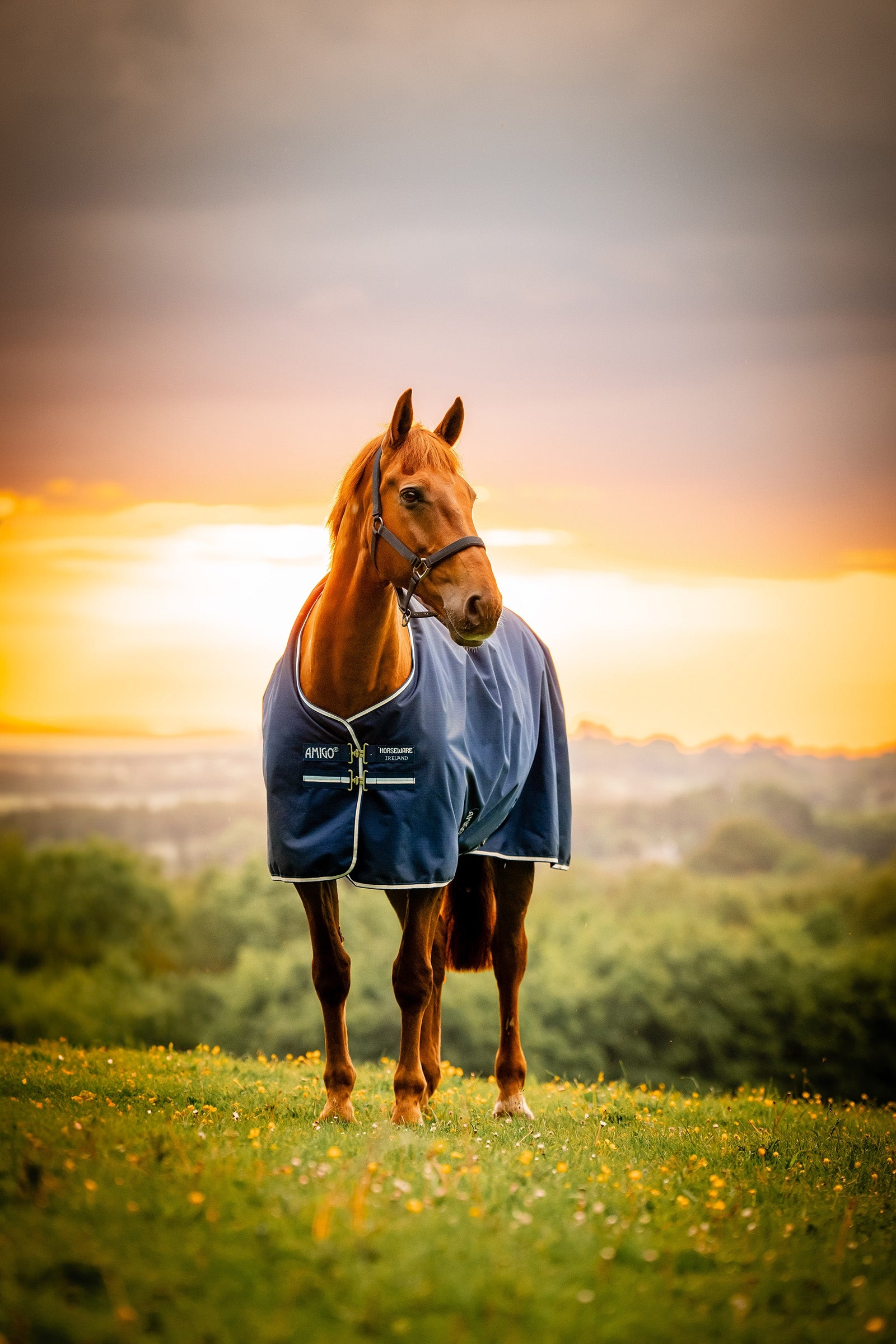 Horseware Amigo Ripstop 900D utedekken med fleecefôr, 50 g Dekken