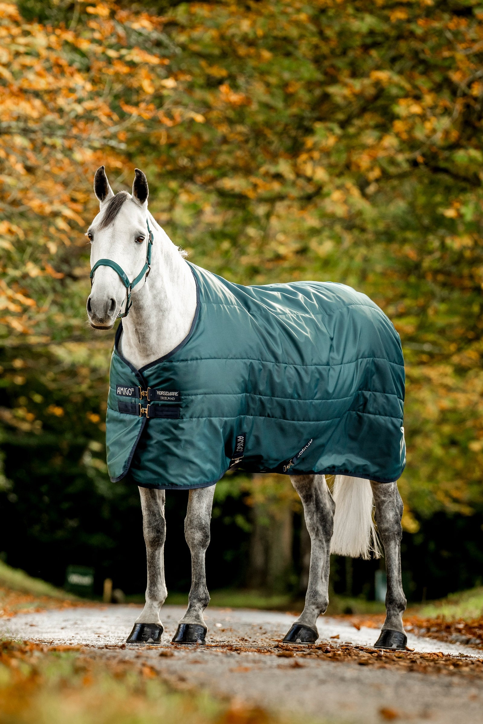 Horseware Amigo Ripstop Insulator Stalldekken, 50g Dekken