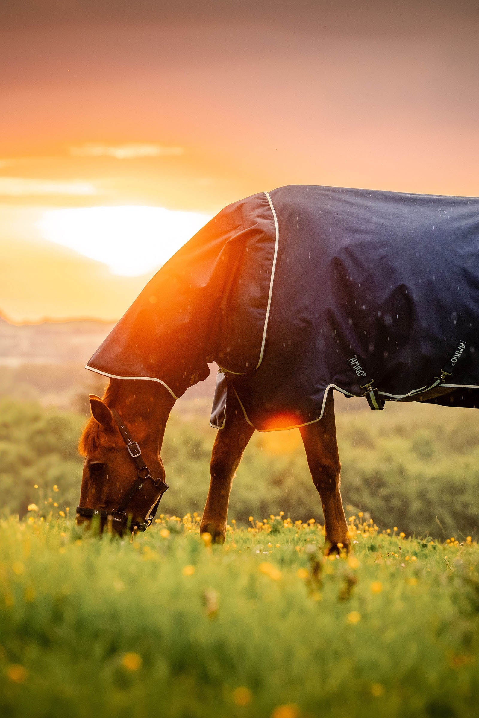 Horseware Amigo Ripstop 900D Plus utedekken, 200 g Dekken