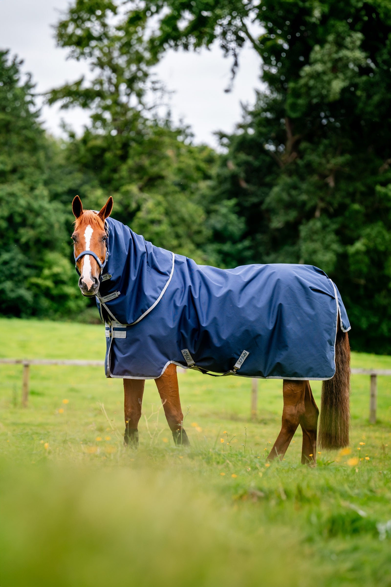 Horseware Amigo Ripstop 900D Plus utedekken, 200 g Dekken
