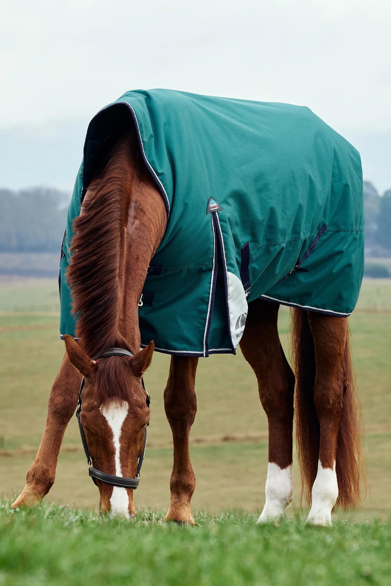 Weatherbeeta ComFiTecPlus Dynamic Turnout High Neck 100G Horse Rugs