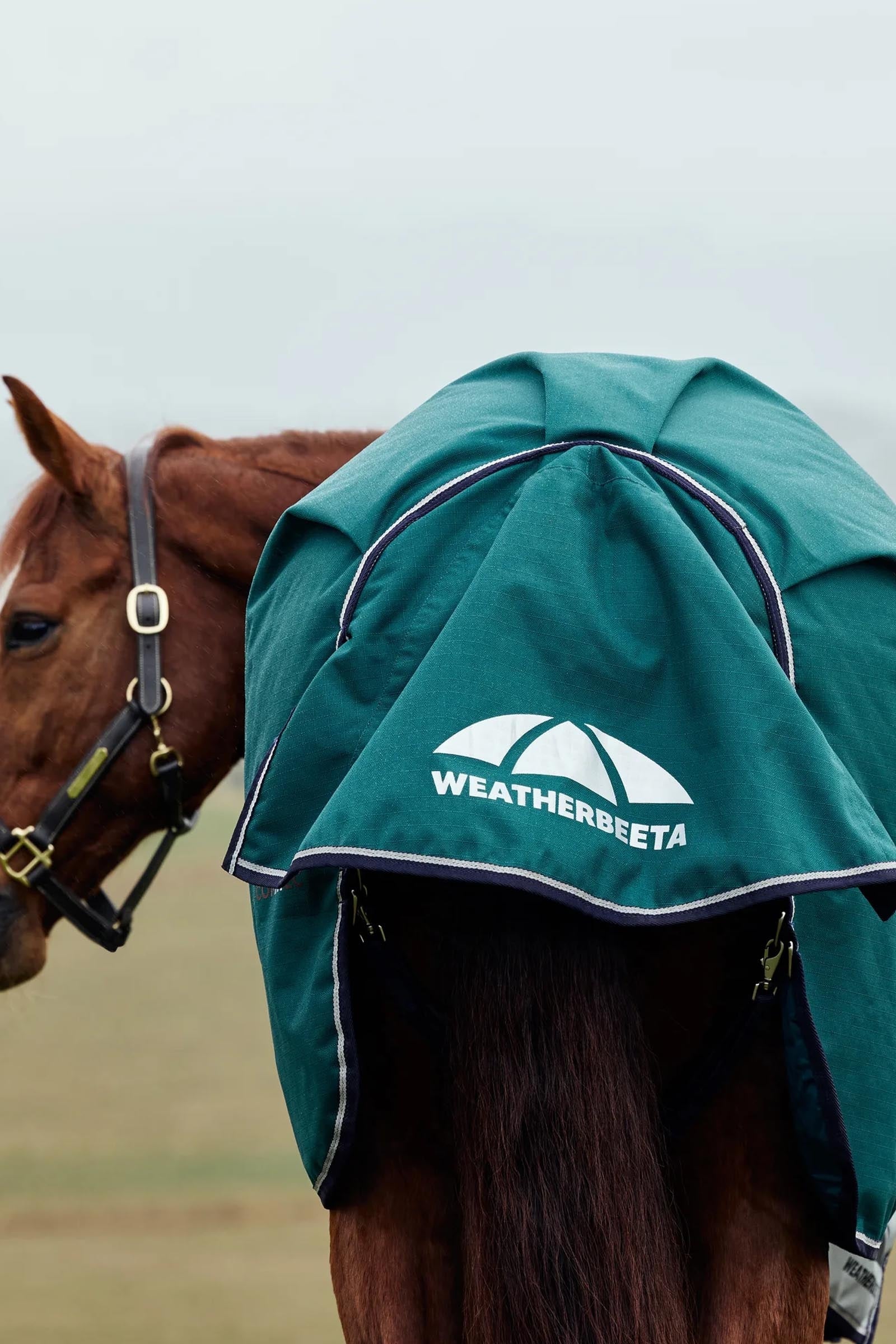 Weatherbeeta ComFiTecPlus Dynamic Turnout High Neck 100G Horse Rugs
