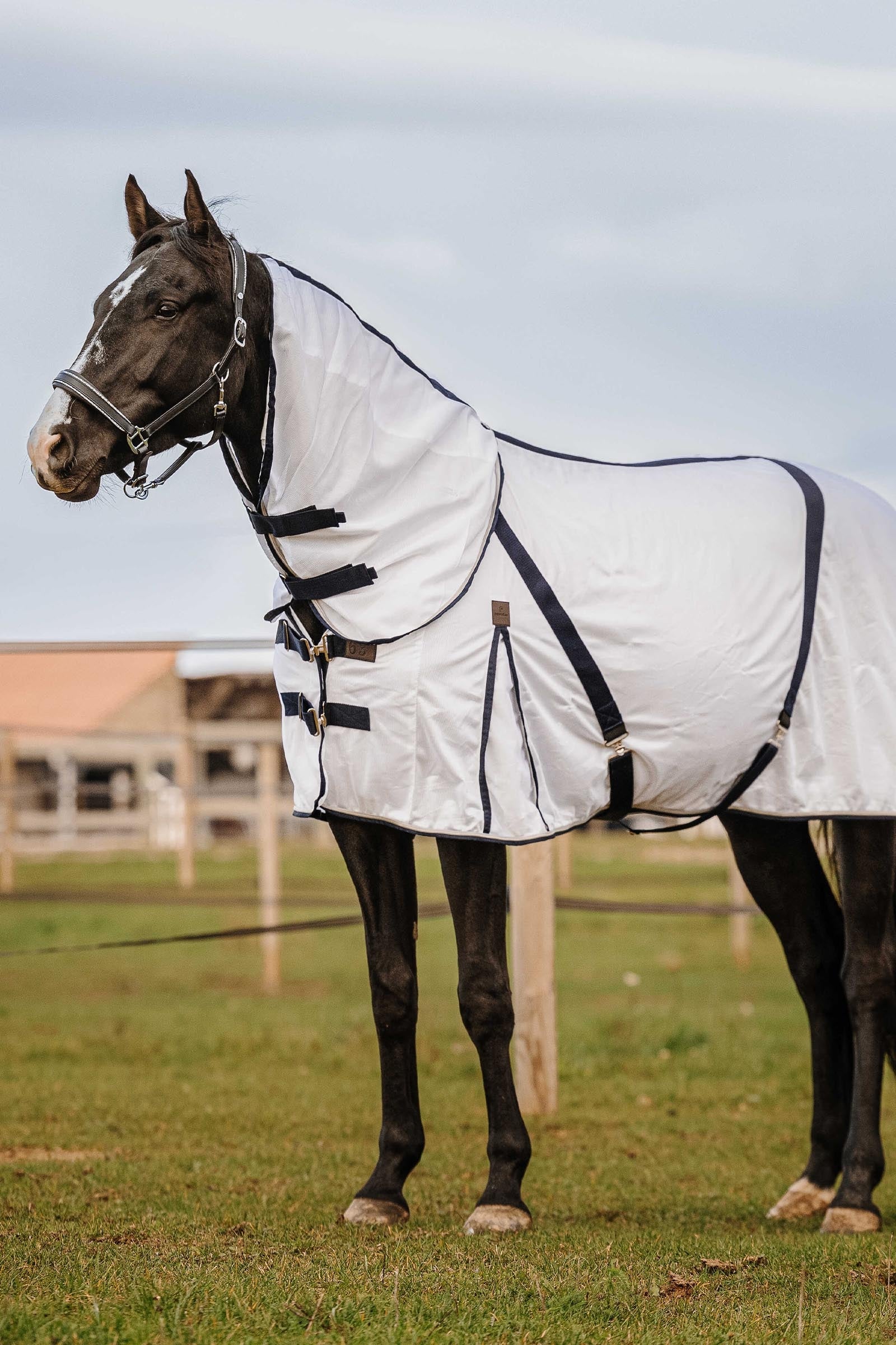 Equi Theme EQUITHÈME Mesh Anti-Insect Sheet Horse Rugs