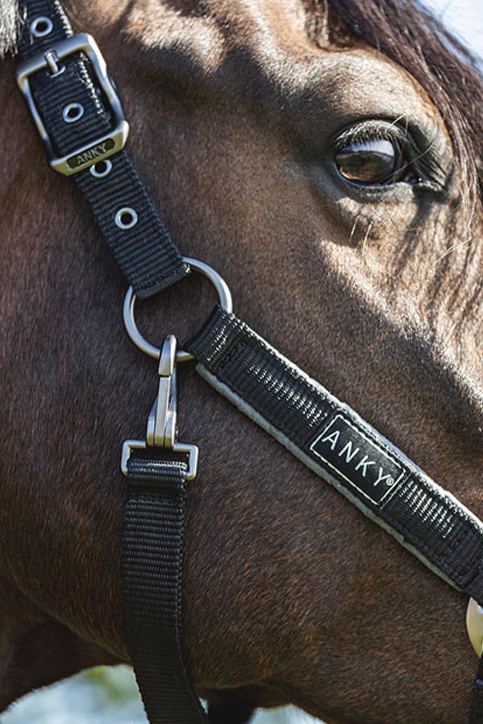 Anky ANKY Grooming Halter Halters & Leads