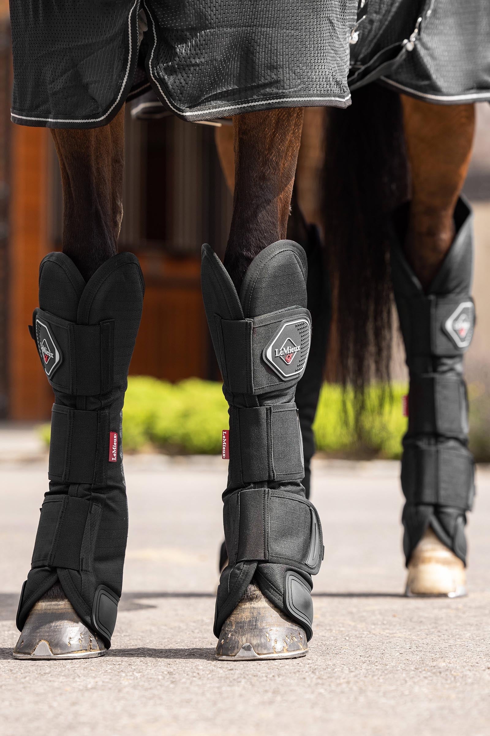 LeMieux Travel Boots Leg & Hoof Protection