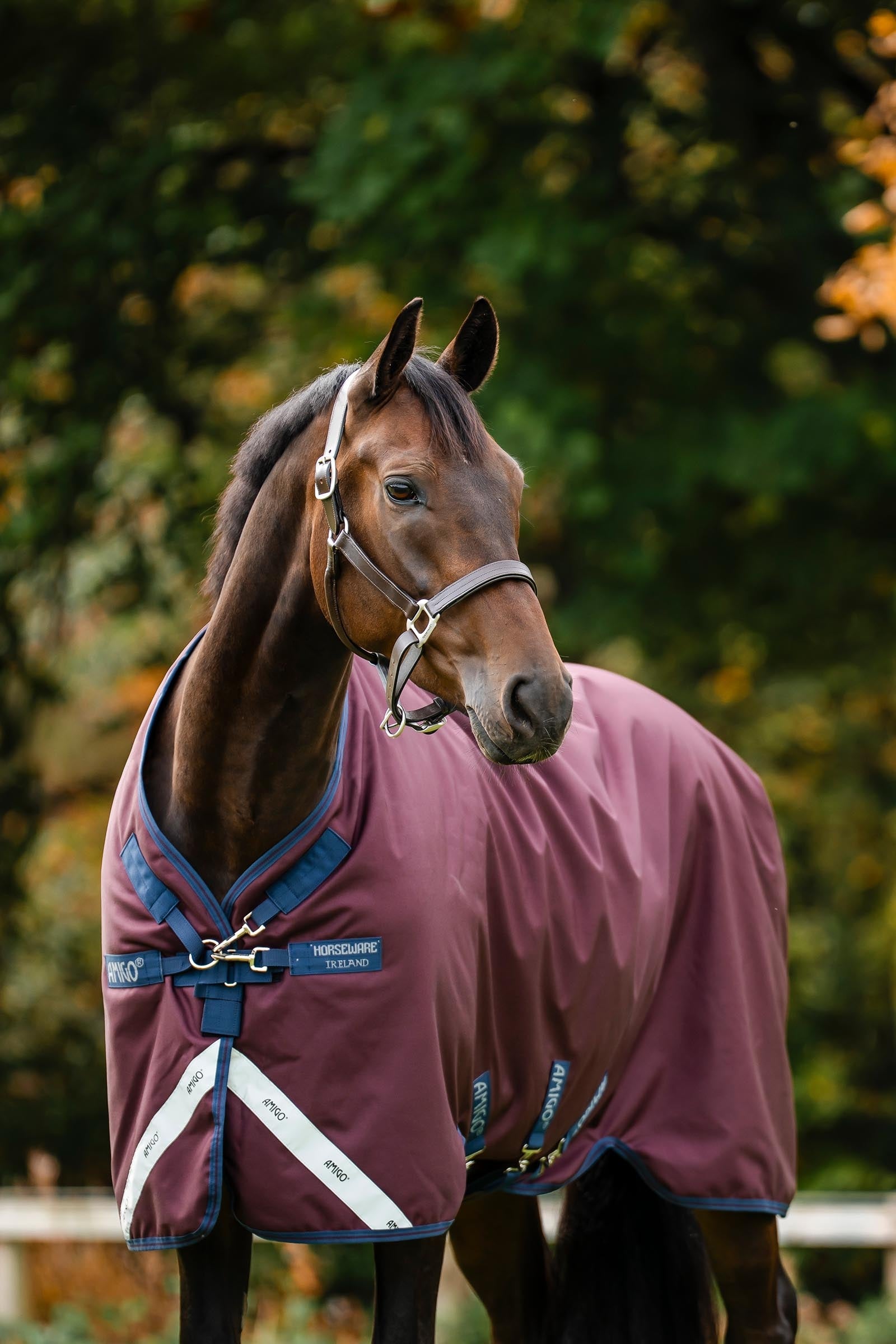 Horseware Amigo 1200D Turnout Rug, 250 g Horse Rugs