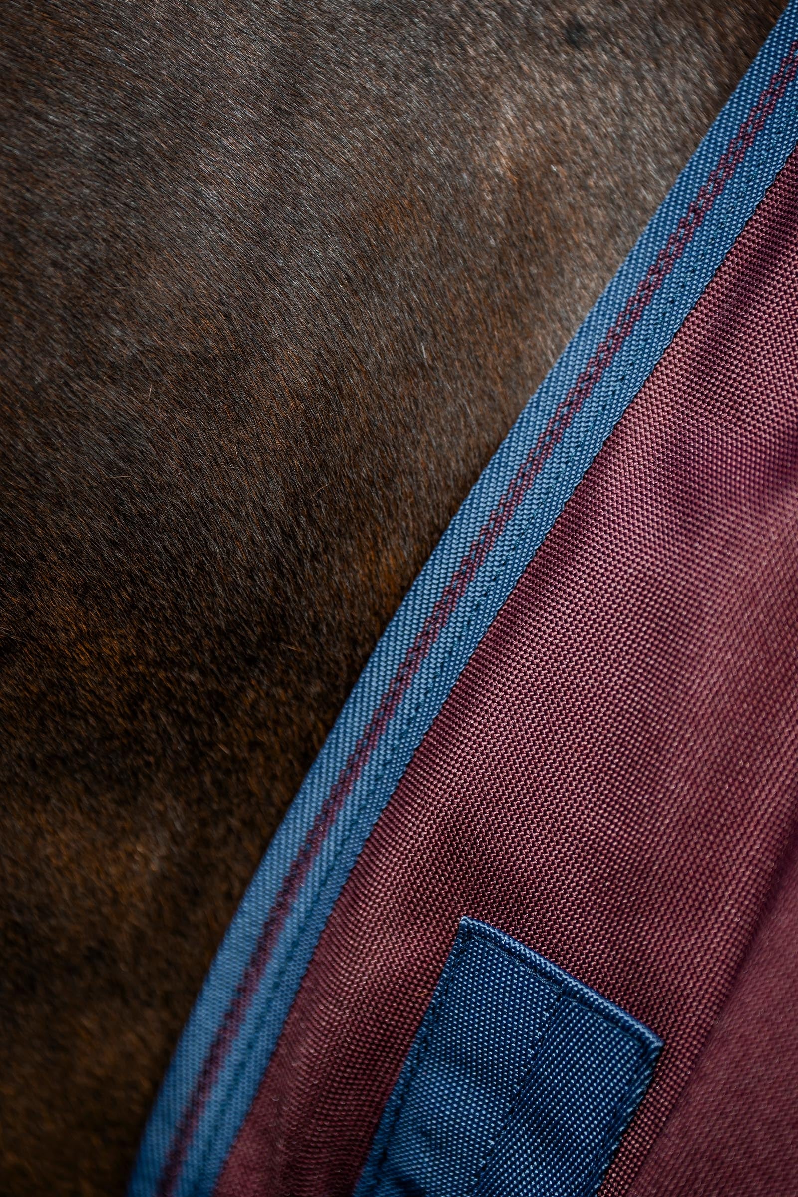 Horseware Amigo 1200D Turnout Rug, 250 g Horse Rugs