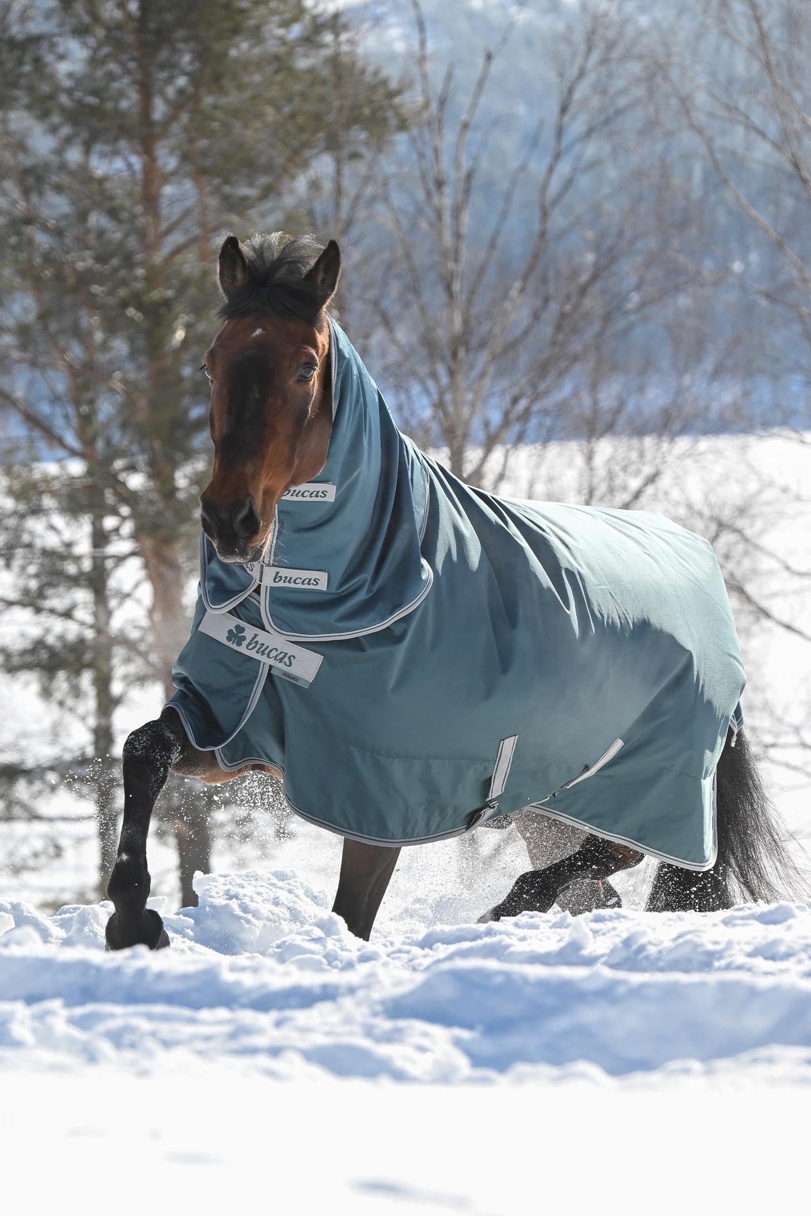 Bucas Atlantic Turnout Neck Piece, 300 g Horse Rugs