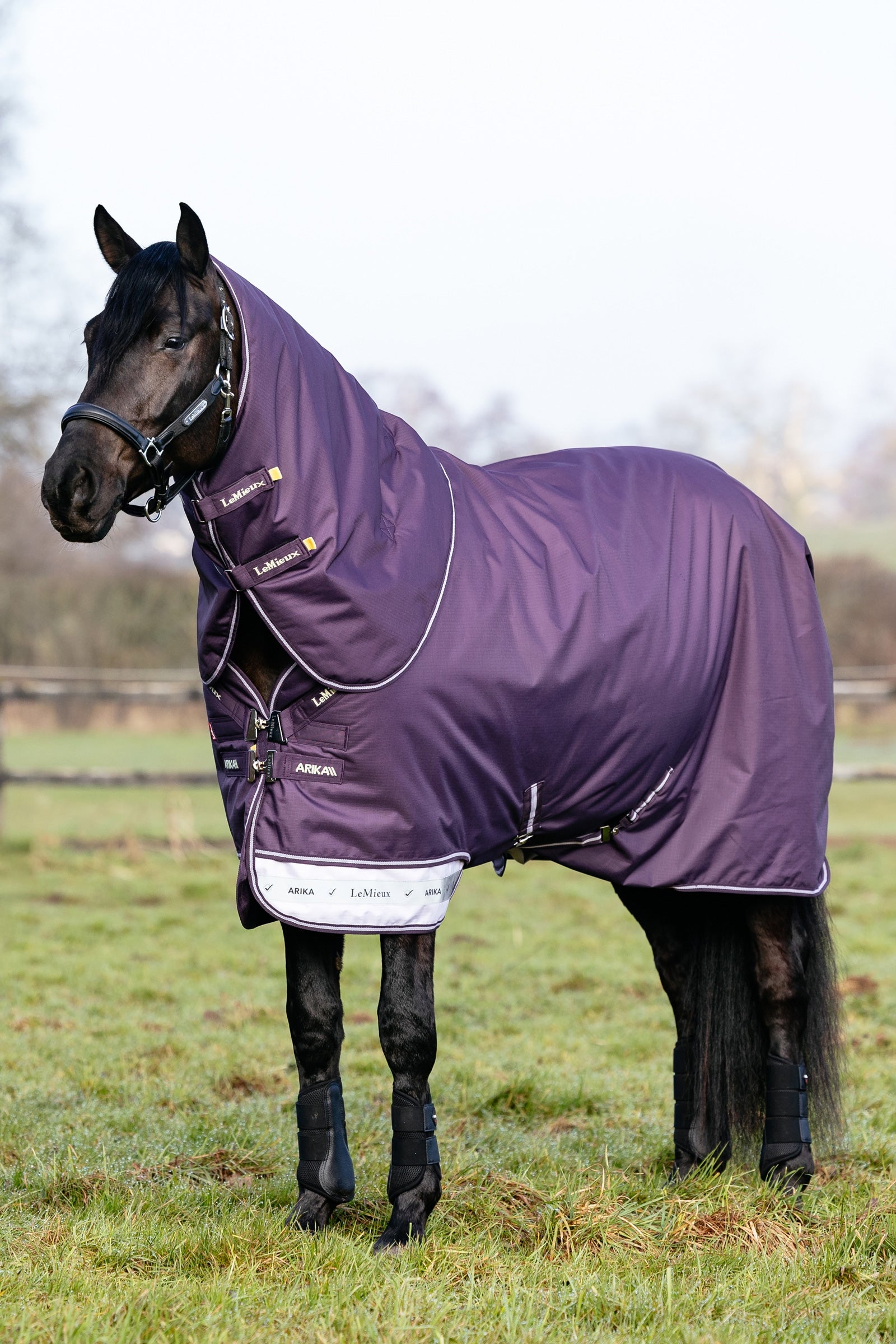 LeMieux Arika Ripstop Turnout Rug With Detachable Neck, 100 g Dekken