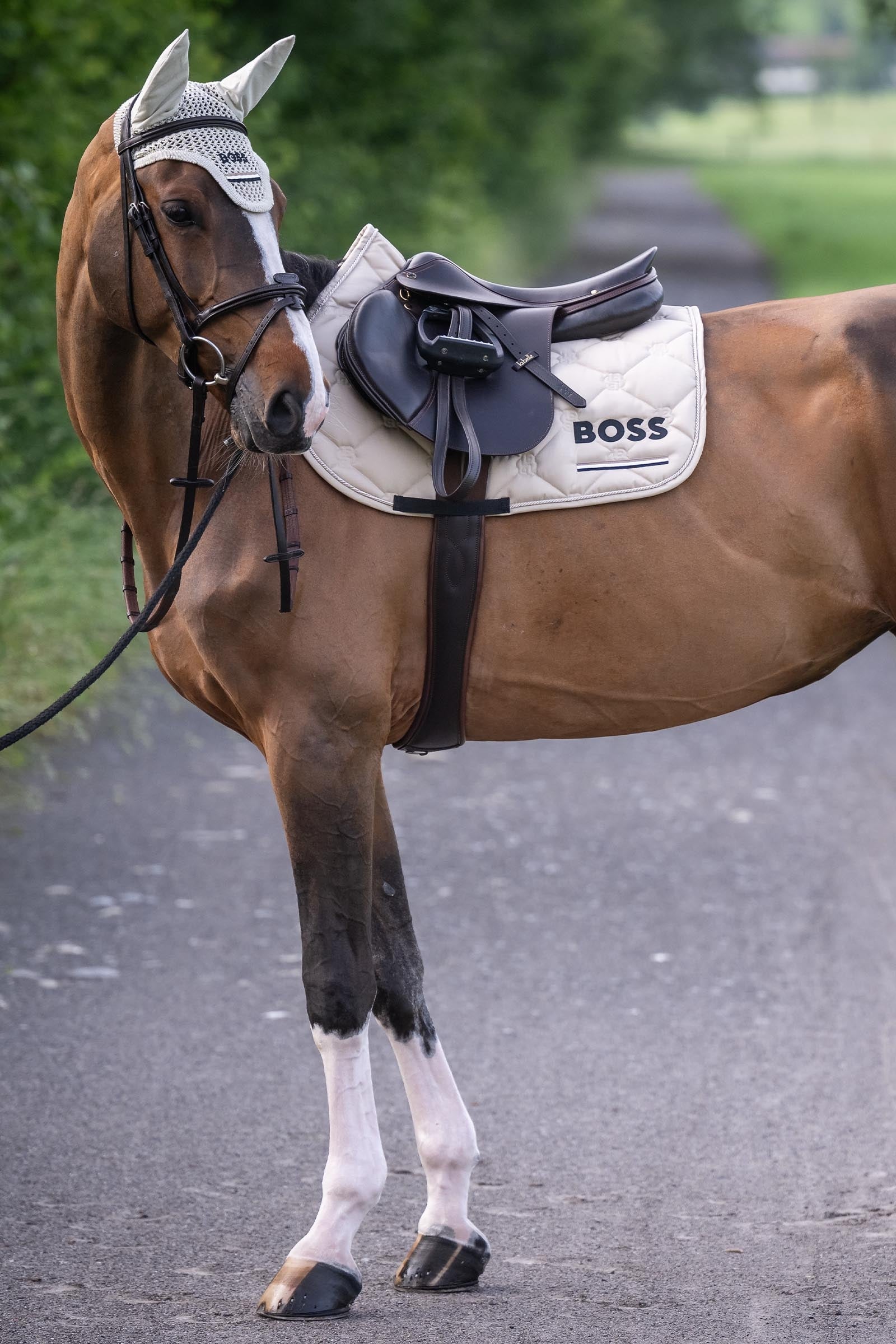 BOSS Equestrian Boss Cheltenham Jump Saddle Pad Saddle Pads