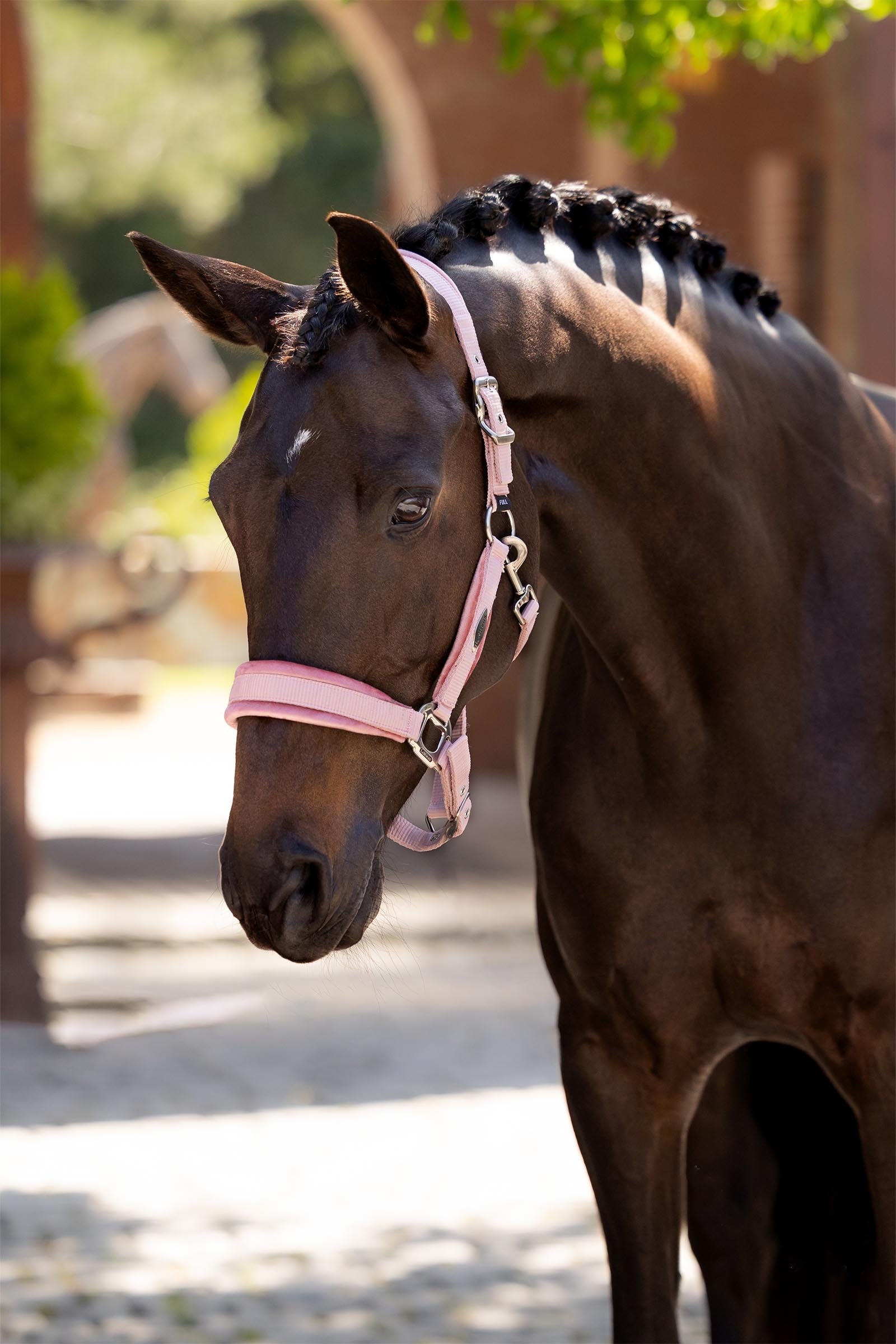 LeMieux Versailles Headcollar Halters & Leads