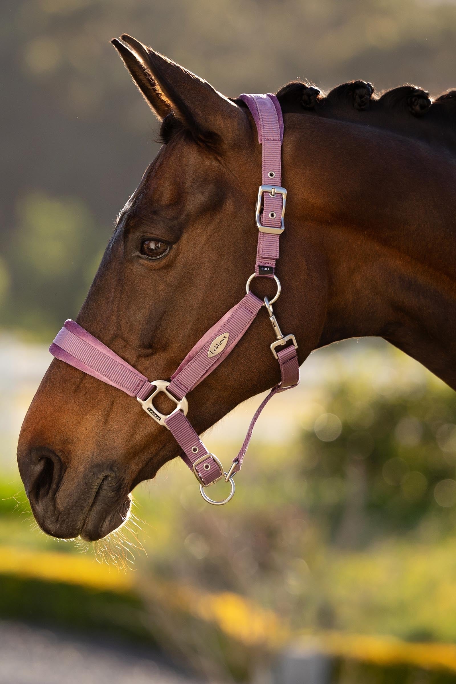 LeMieux Versailles Headcollar Halters & Leads