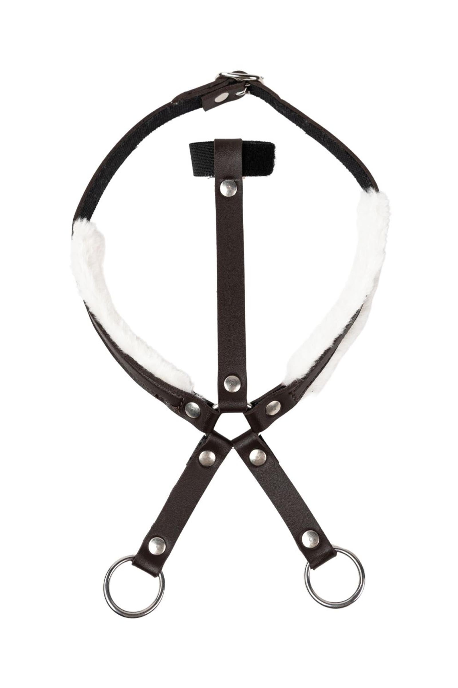 My Hobby Horse martingal Gaver