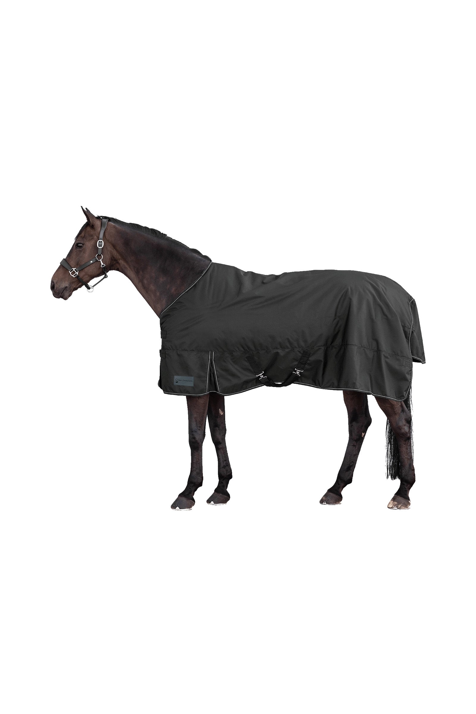 Waldhausen NORDIC Outdoor Rug, 300 g Horse Rugs