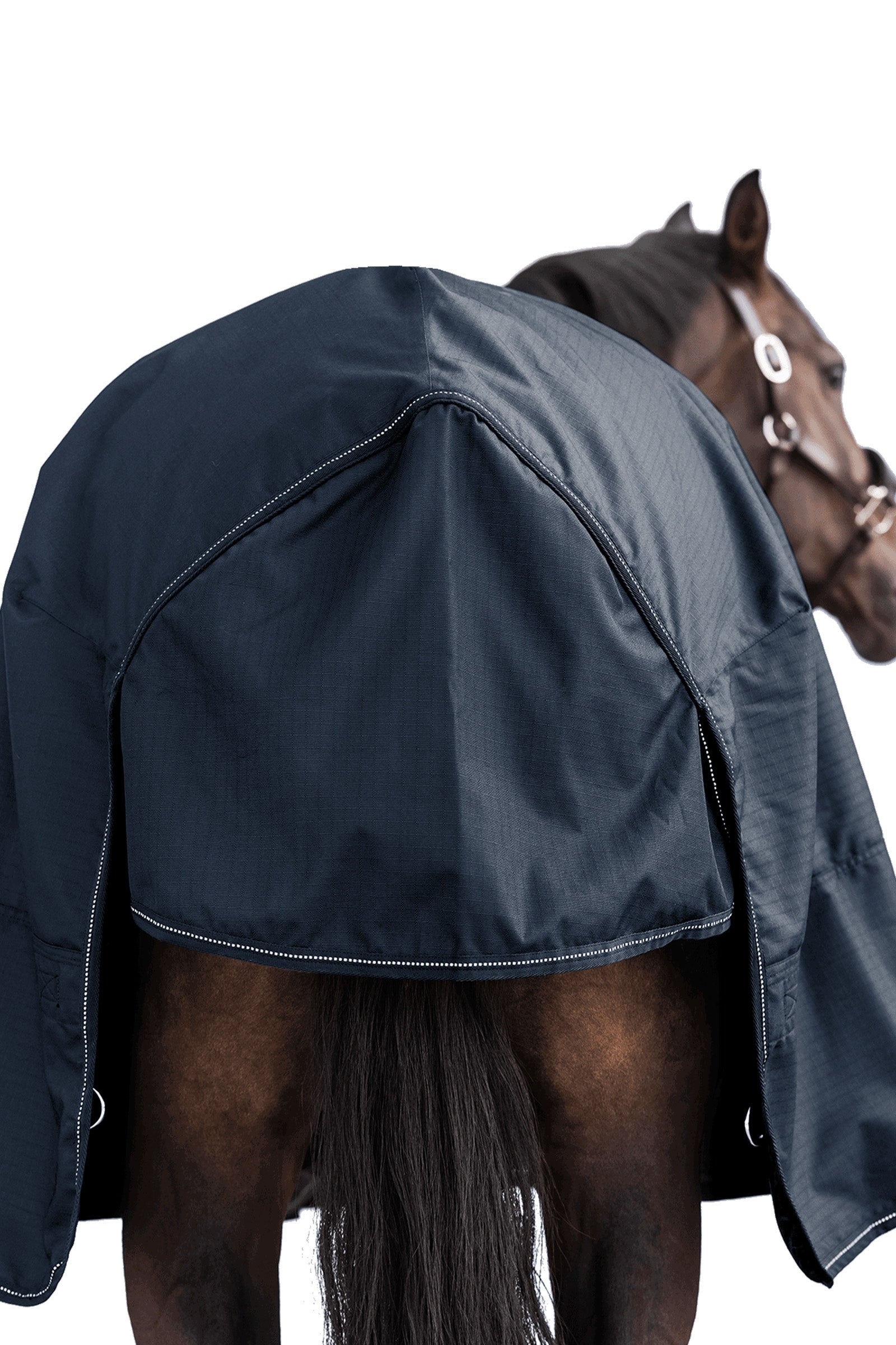 Waldhausen NORDIC Outdoor Rug, 300 g Horse Rugs