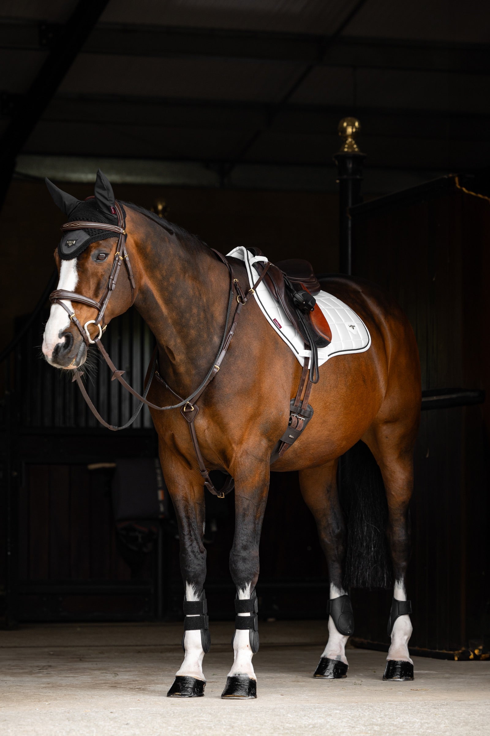 LeMieux Loire Classic Square Close Contact Saddle Pad Saddle Pads