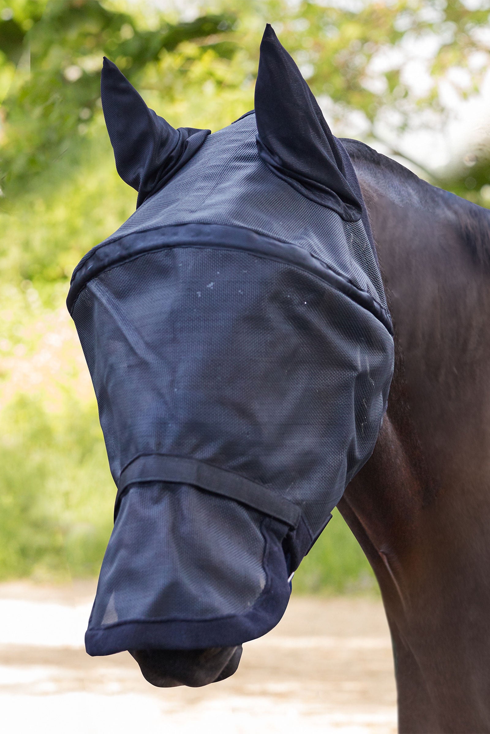 Waldhausen Space Premium Fly Mask With Ear and Nose Protection Antifly Protection for Horses