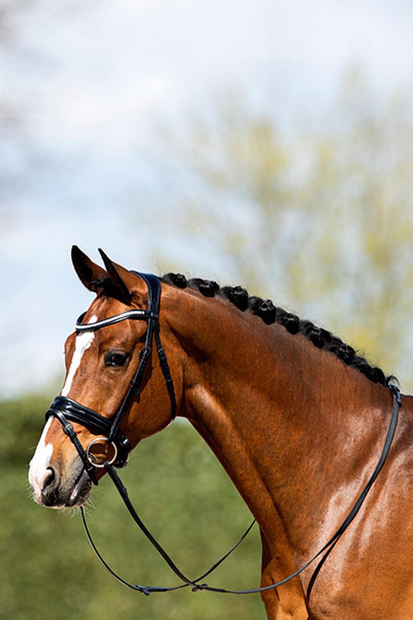 Anky ANKY Anatomic Bridle Patent Leather With Soft Padding Bridles & Reins