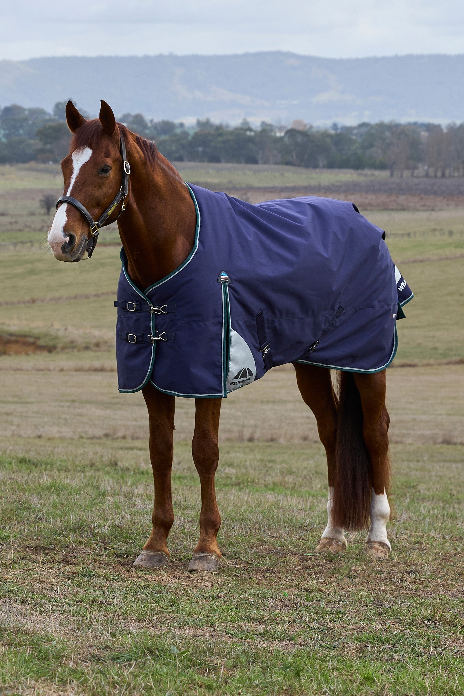 Weatherbeeta ComFiTecPlus Dynamic Turnout Detach-a-Neck, 100 g Dekken