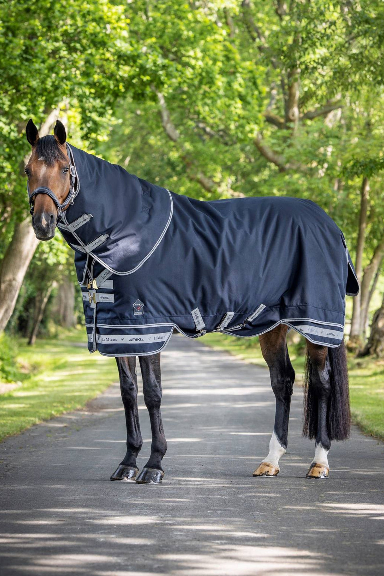 LeMieux Arika Storm-Tek Lightweight Turnout Rug, 100g Dekken