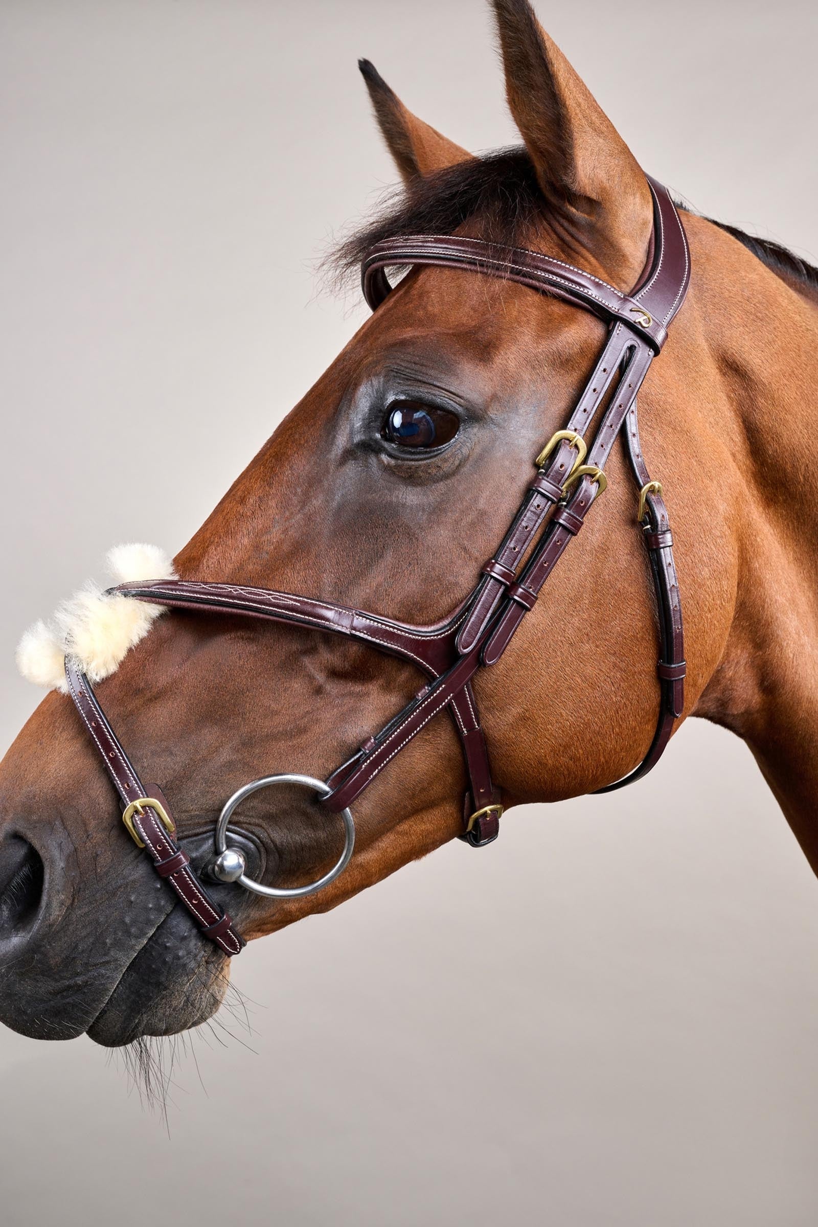Dy'on D-Collection Figure 8 Noseband Bridle Bridles & Reins