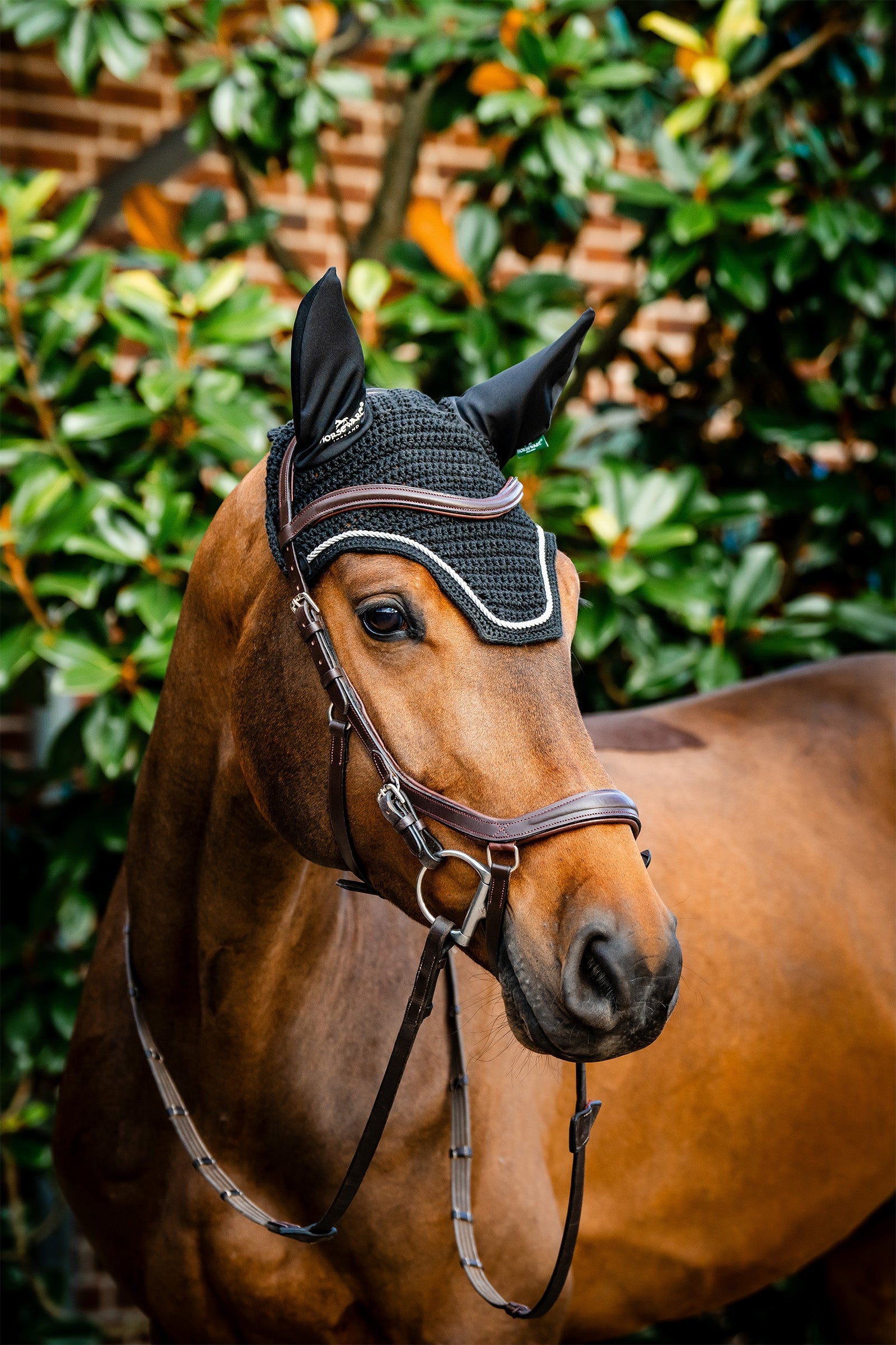 Horseware Signature fluehette Sjabraker