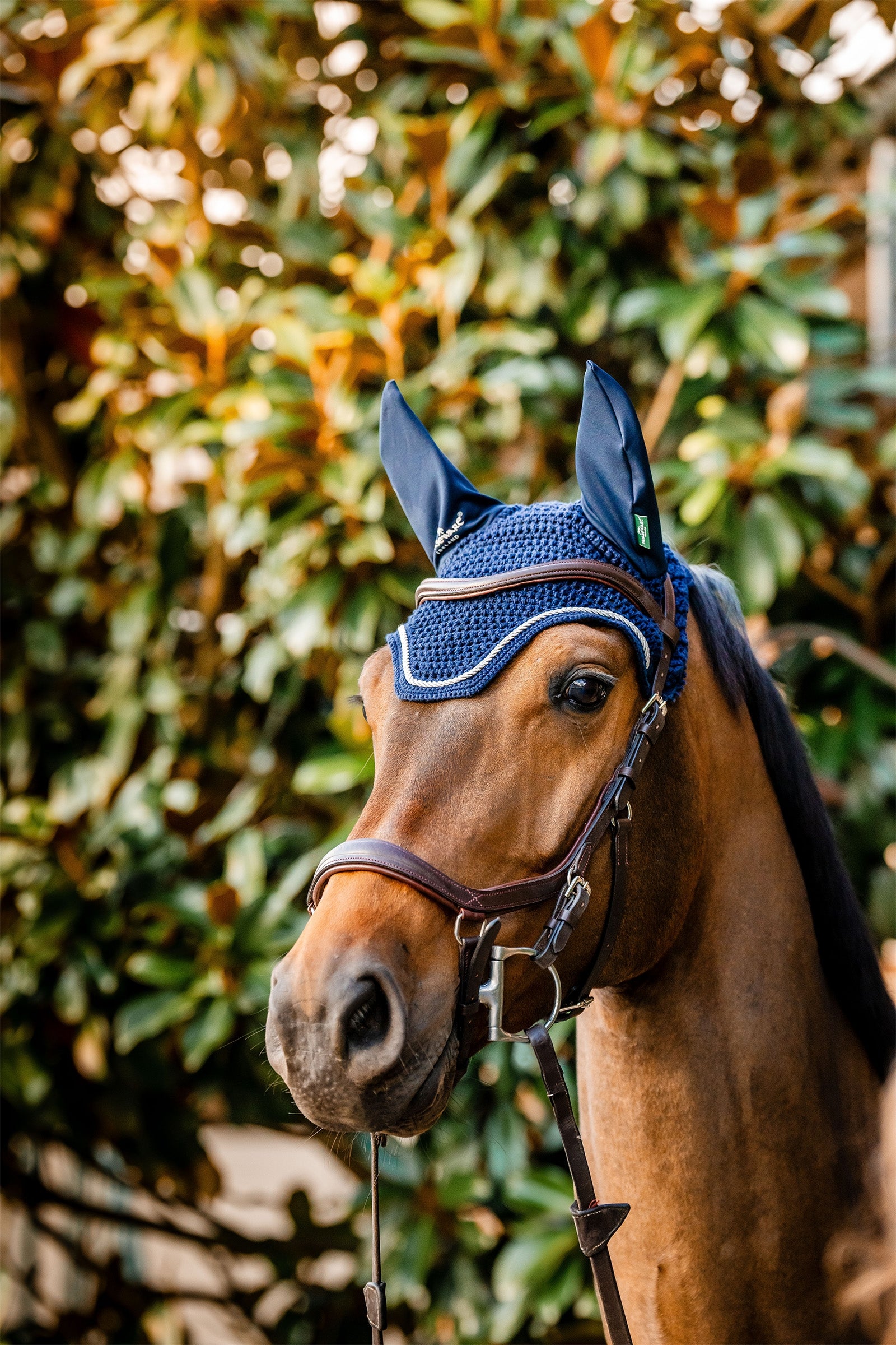 Horseware Signature fluehette Sjabraker