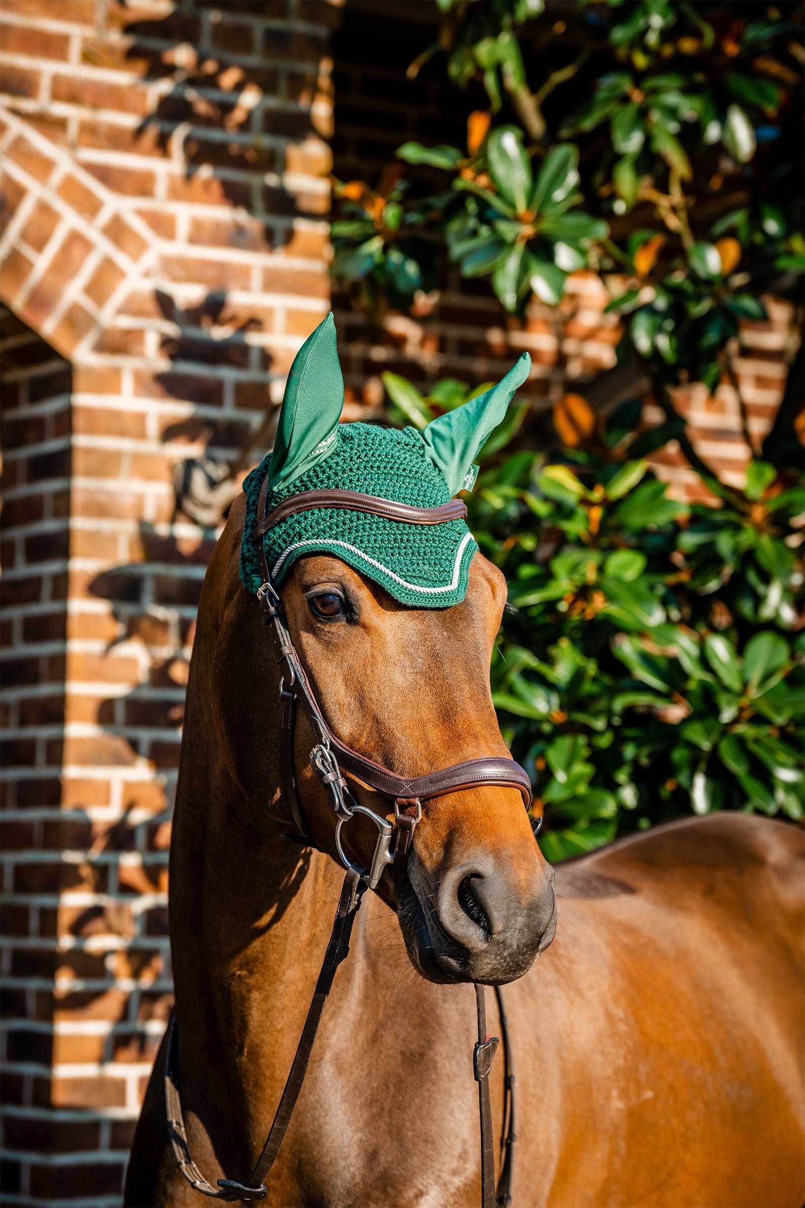 Horseware Signature fluehette Sjabraker