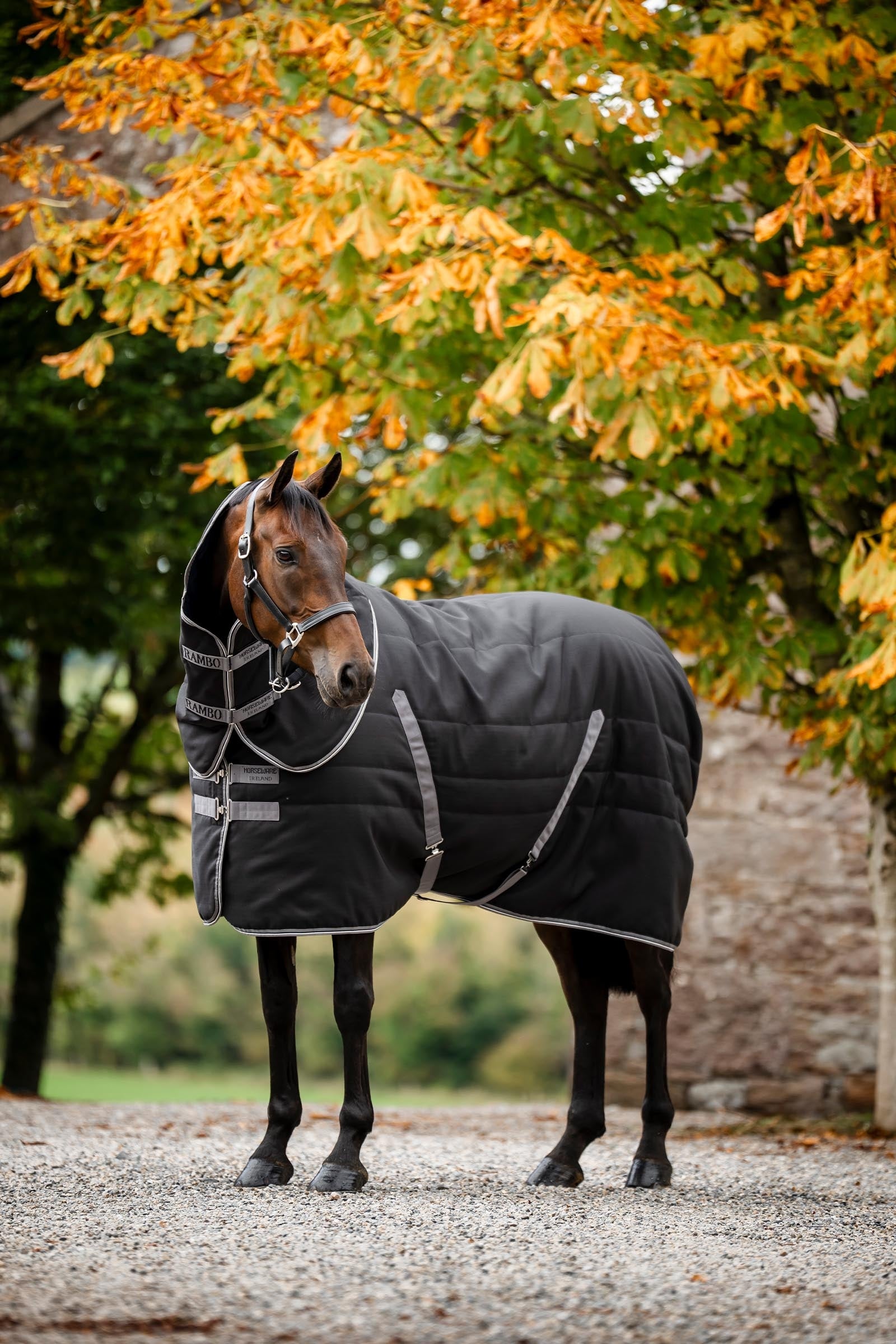 Horseware Rambo Stable 100 g Horse Rugs