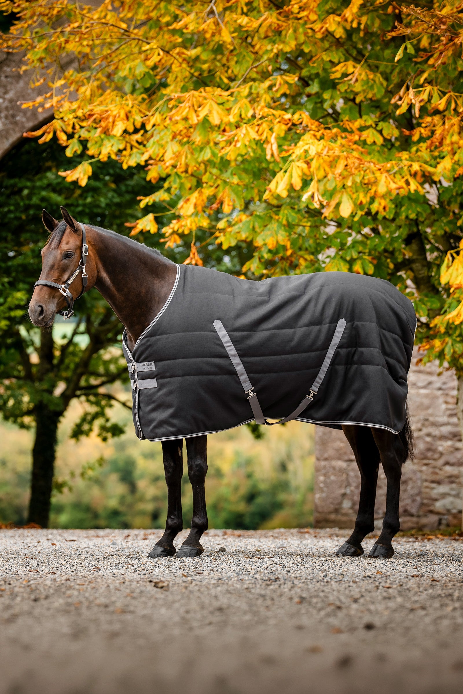 Horseware Rambo Stable 400 g Horse Rugs