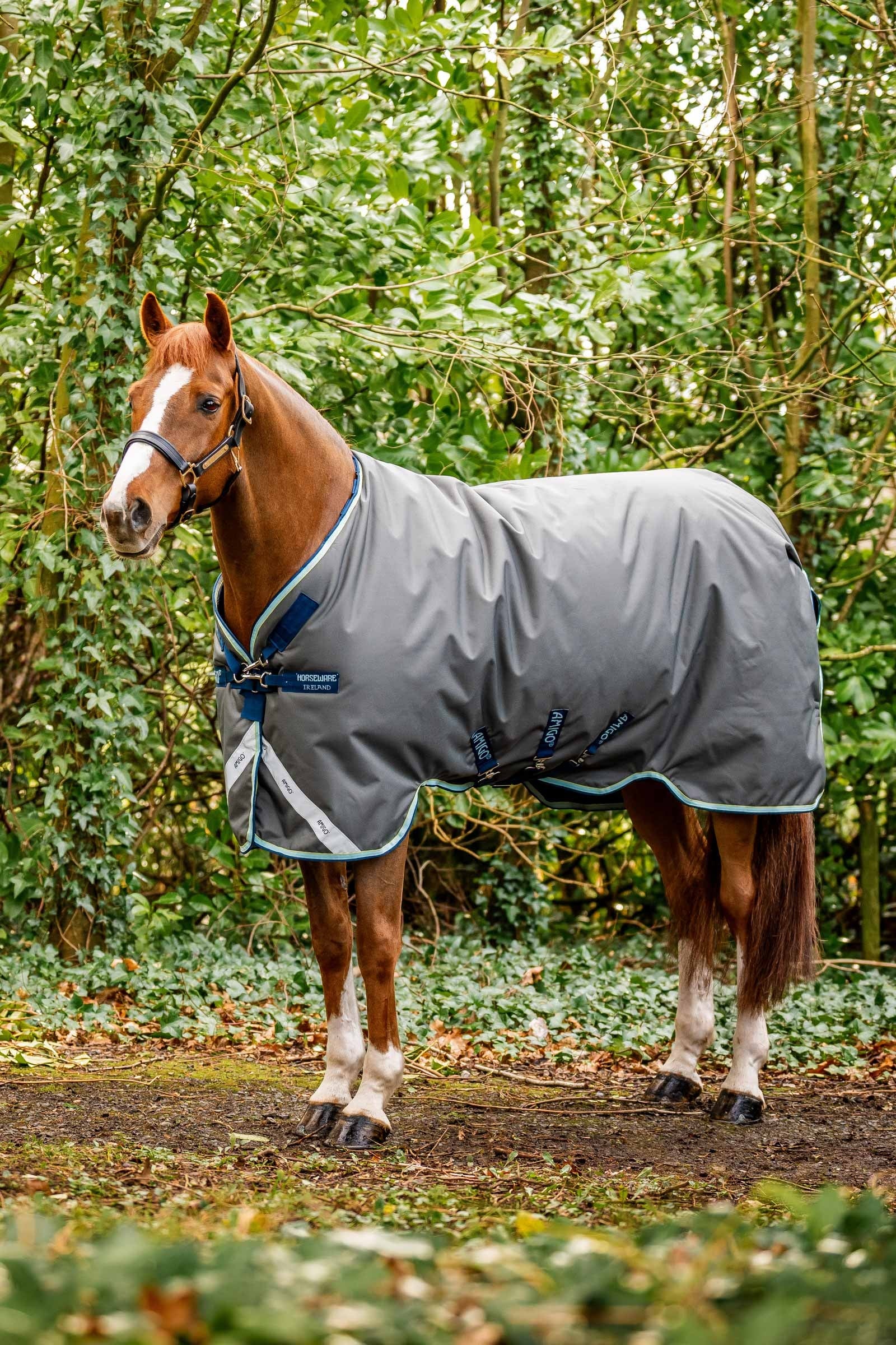 Horseware Amigo Bravo 12 Plus utedekken med avtakbar hals, 400g Dekken