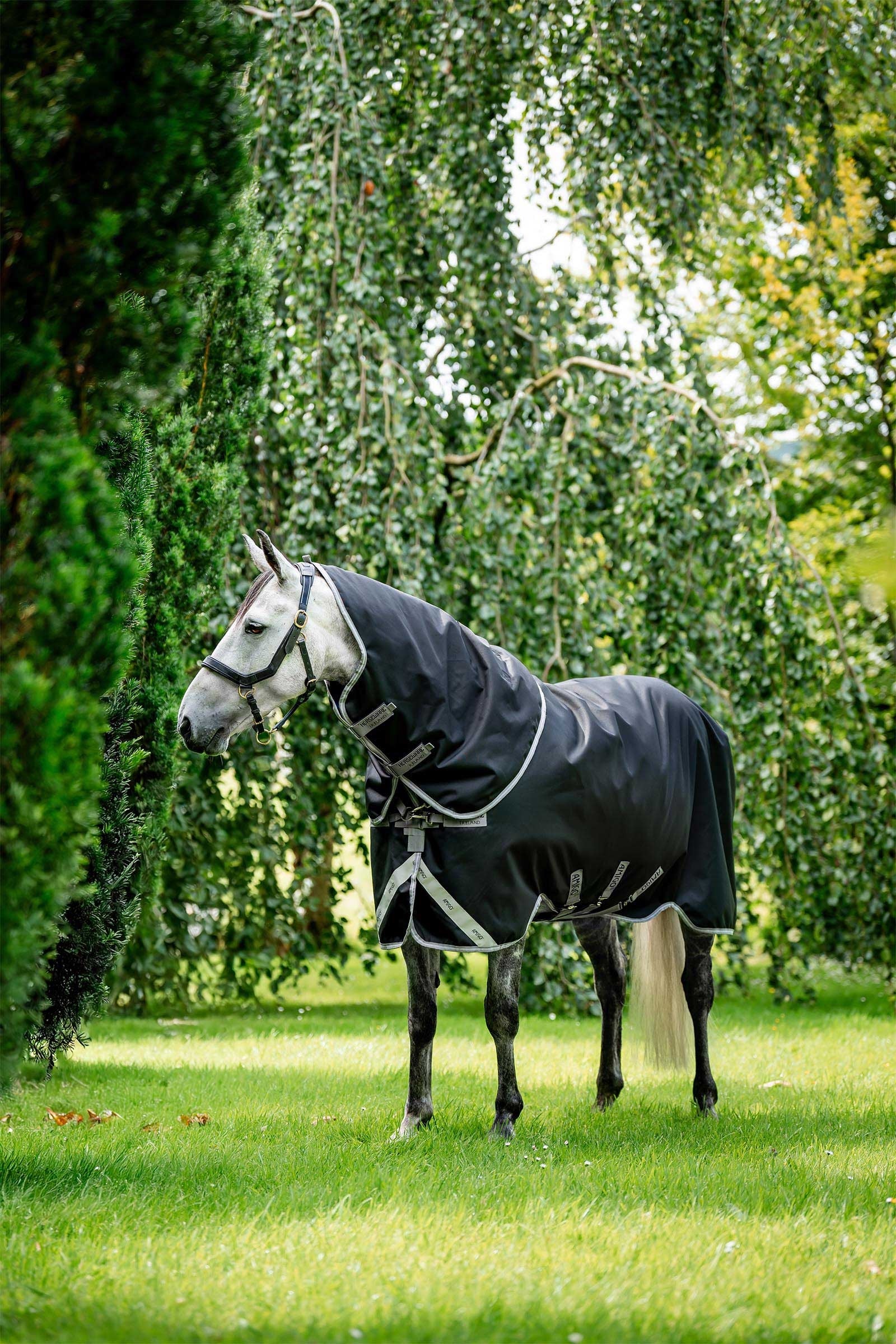 Horseware Amigo Bravo 12 Plus utedekken med avtakbar hals, 400g Dekken