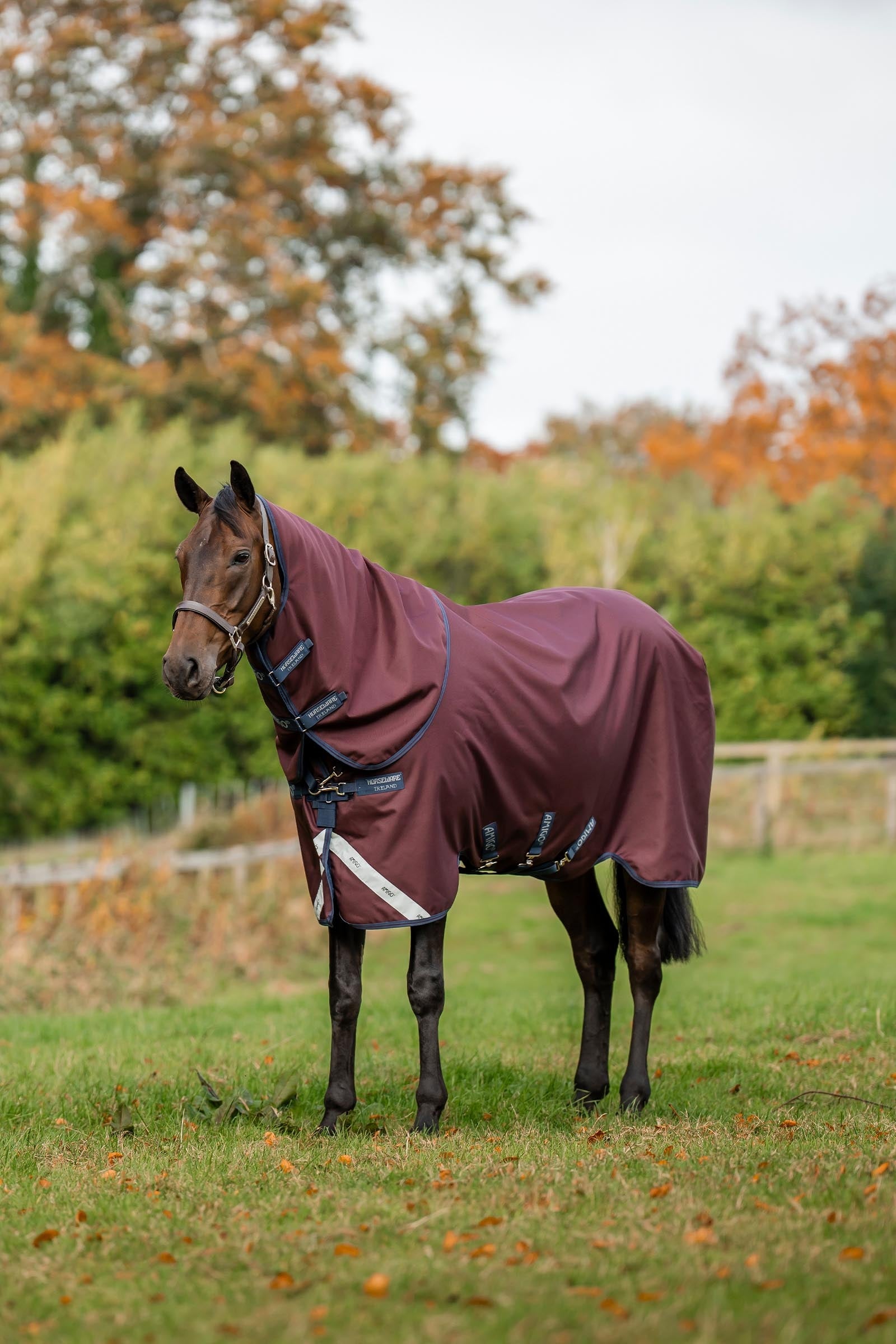 Horseware Amigo Bravo 12 Plus Turnout Rug With Detachable Neck, 400g Horse Rugs
