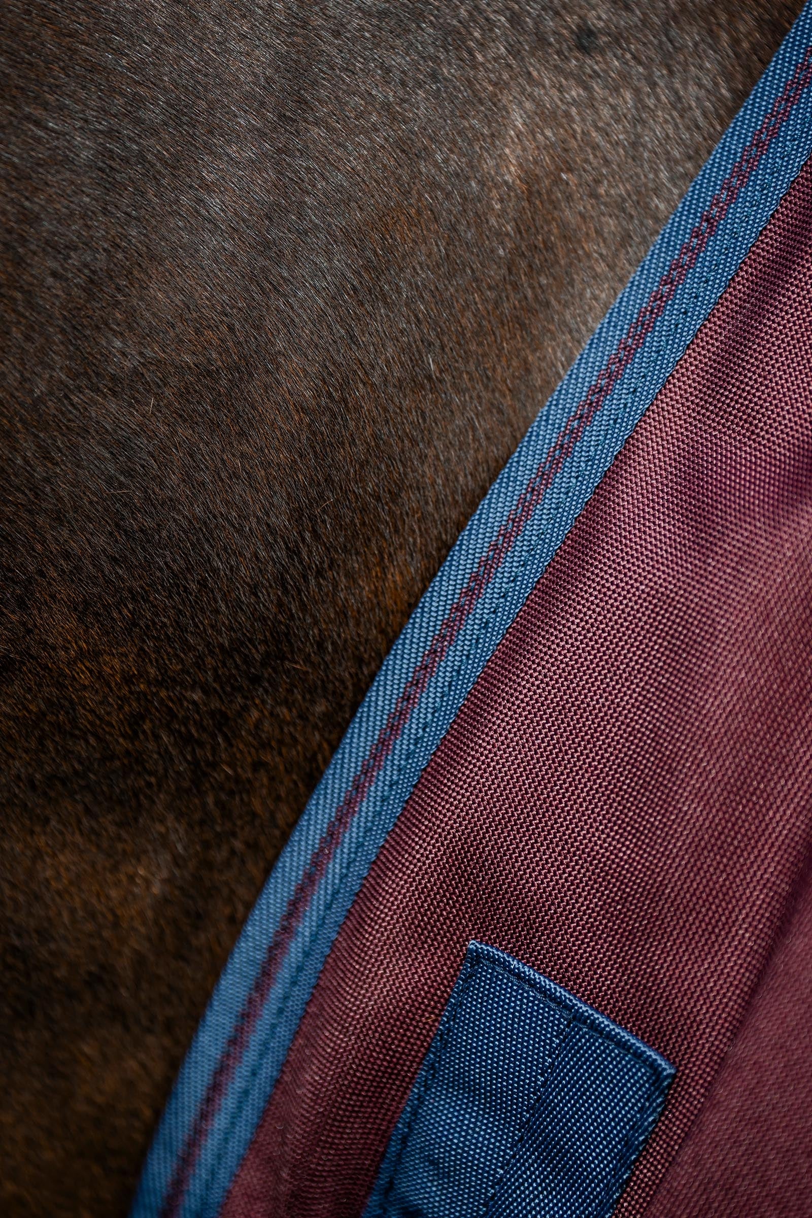 Horseware Amigo Bravo 12 Plus Turnout Rug With Detachable Neck, 400g Horse Rugs
