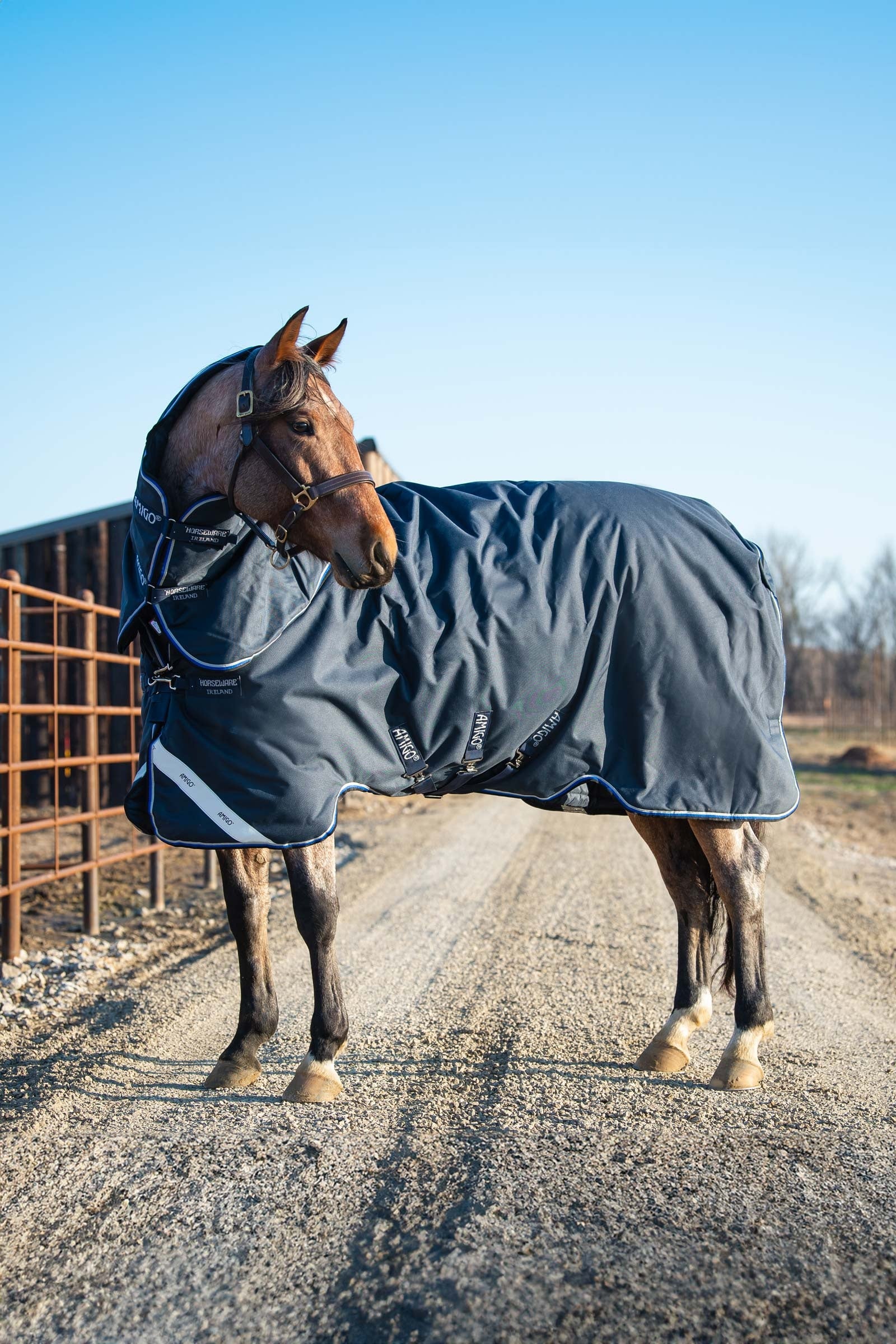 Horseware Amigo Bravo 12 Plus utedekken med avtakbar hals, 400g Dekken