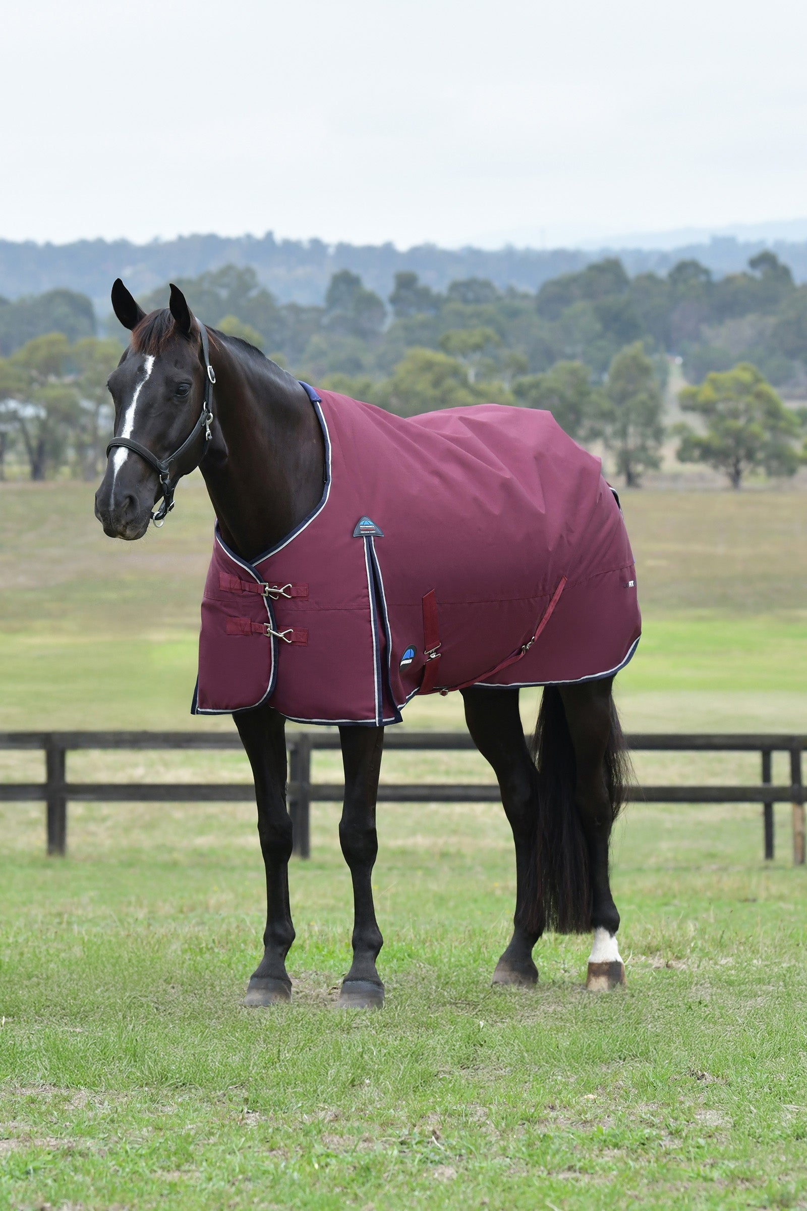 Weatherbeeta ComFiTec Essential Turnout Standard Neck 50G Dekken