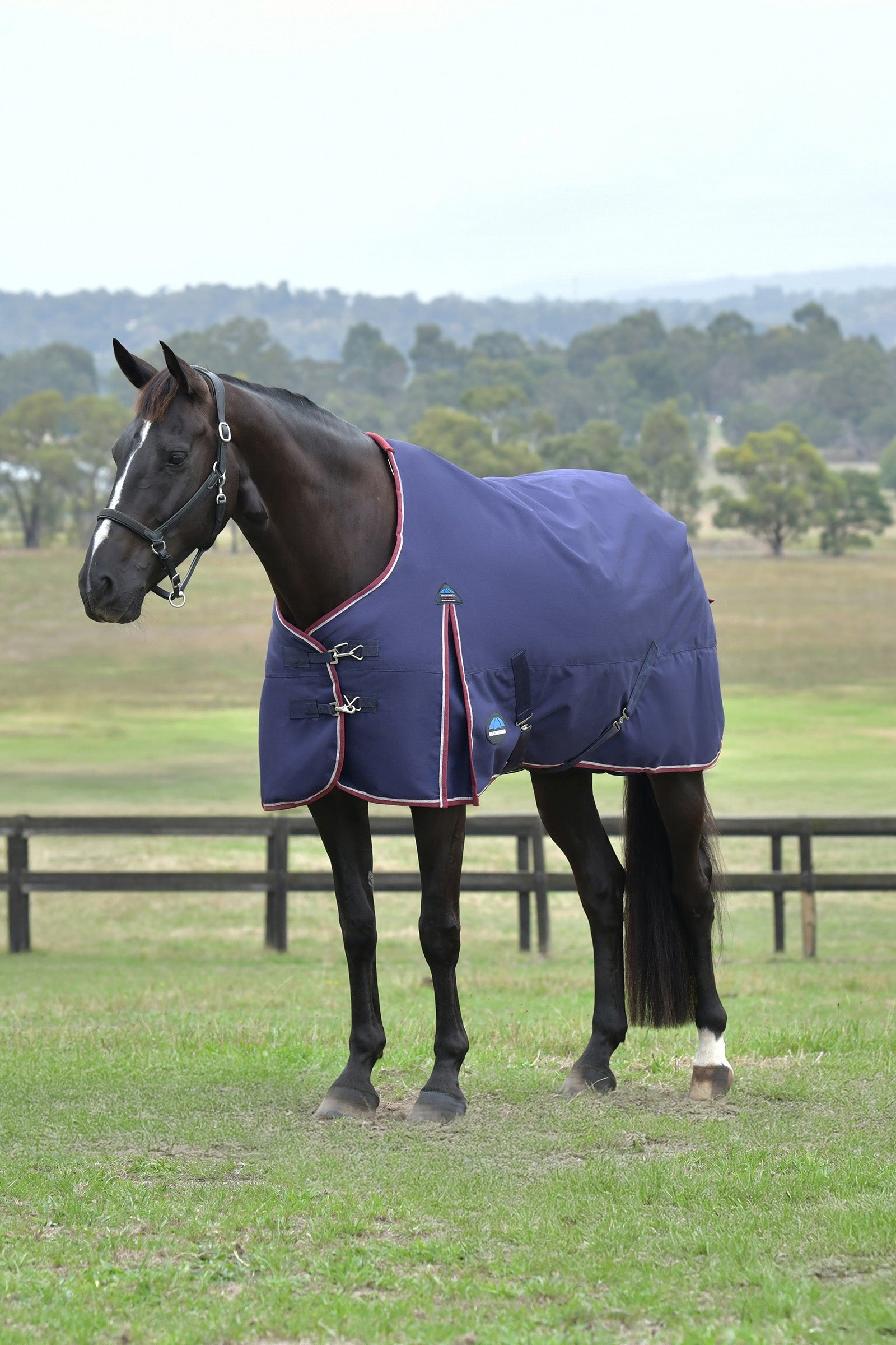 Weatherbeeta ComFiTec Essential Turnout Standard Neck 50G Dekken
