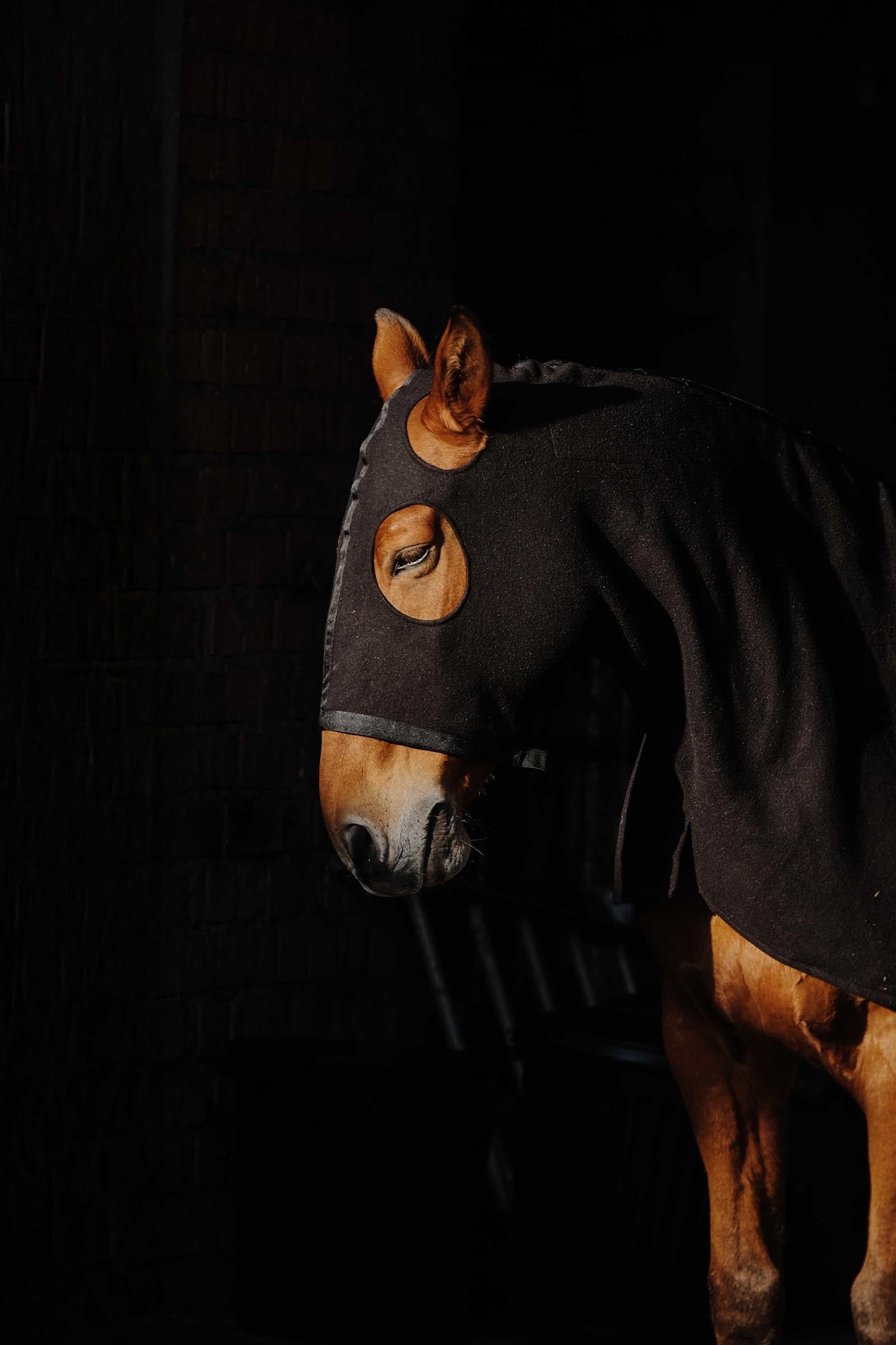 Equi Theme EQUITHÈME Fleece Full Neck Protection Horse Rugs