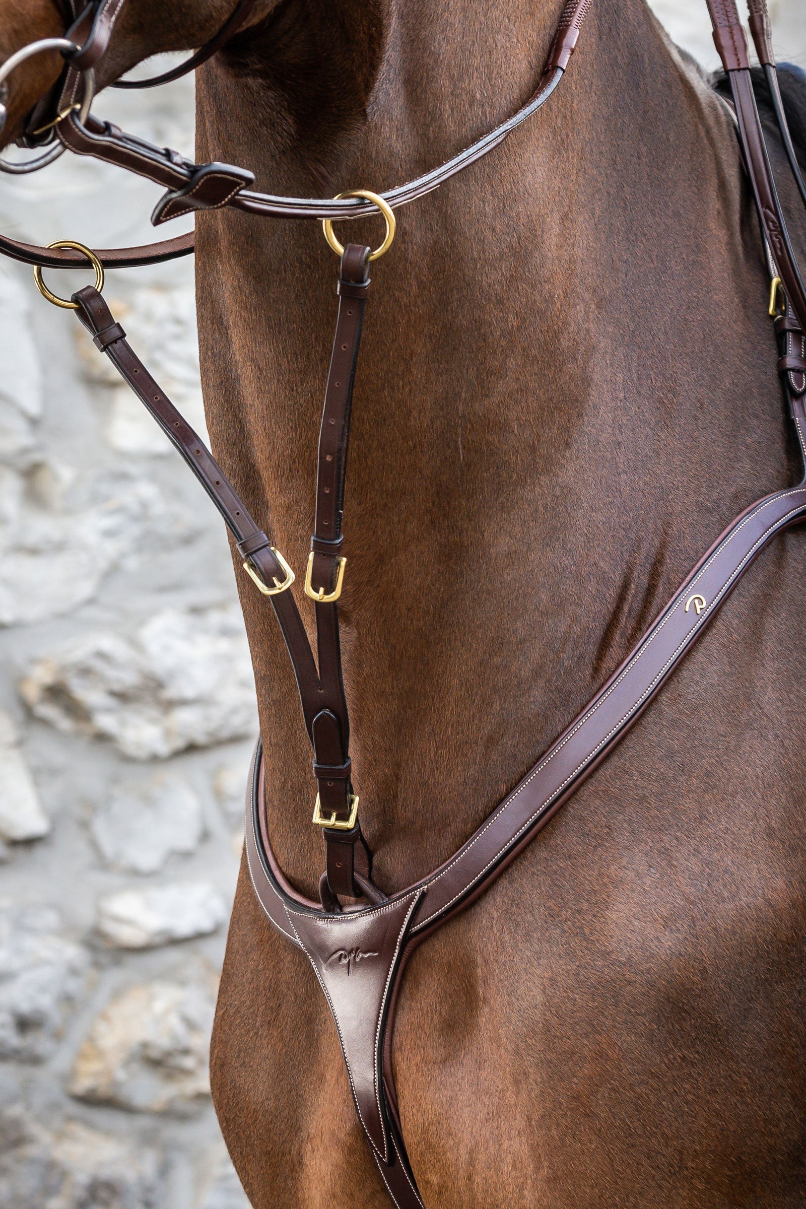Dy'on D Collection Running Martingale Attachment Bridles & Reins