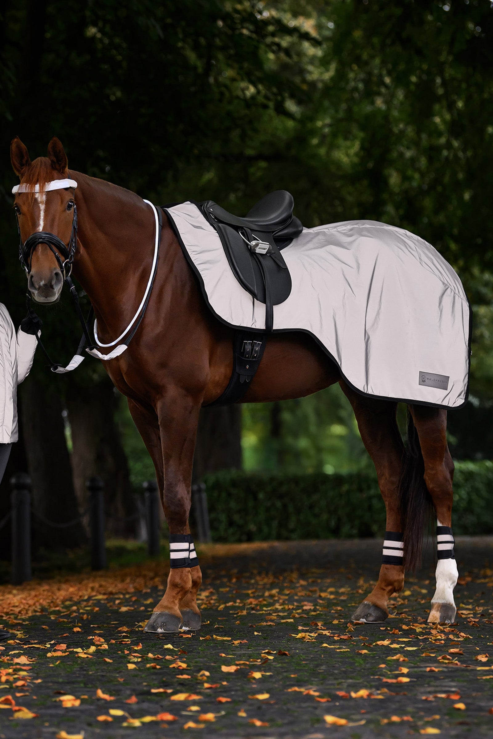 Waldhausen REFLEX Bandages Set Reflective