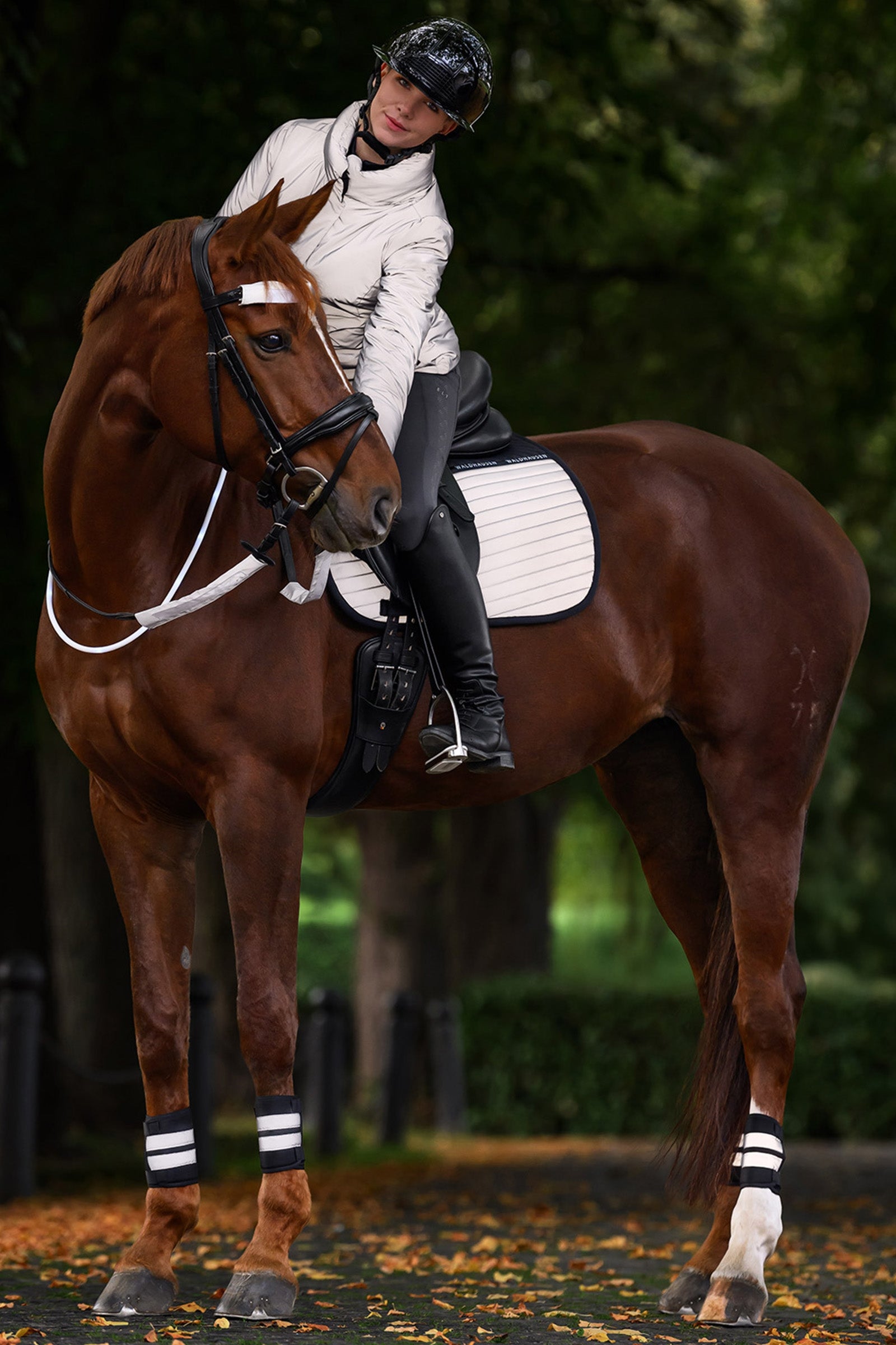 Waldhausen REFLEX Bandages Set Reflective
