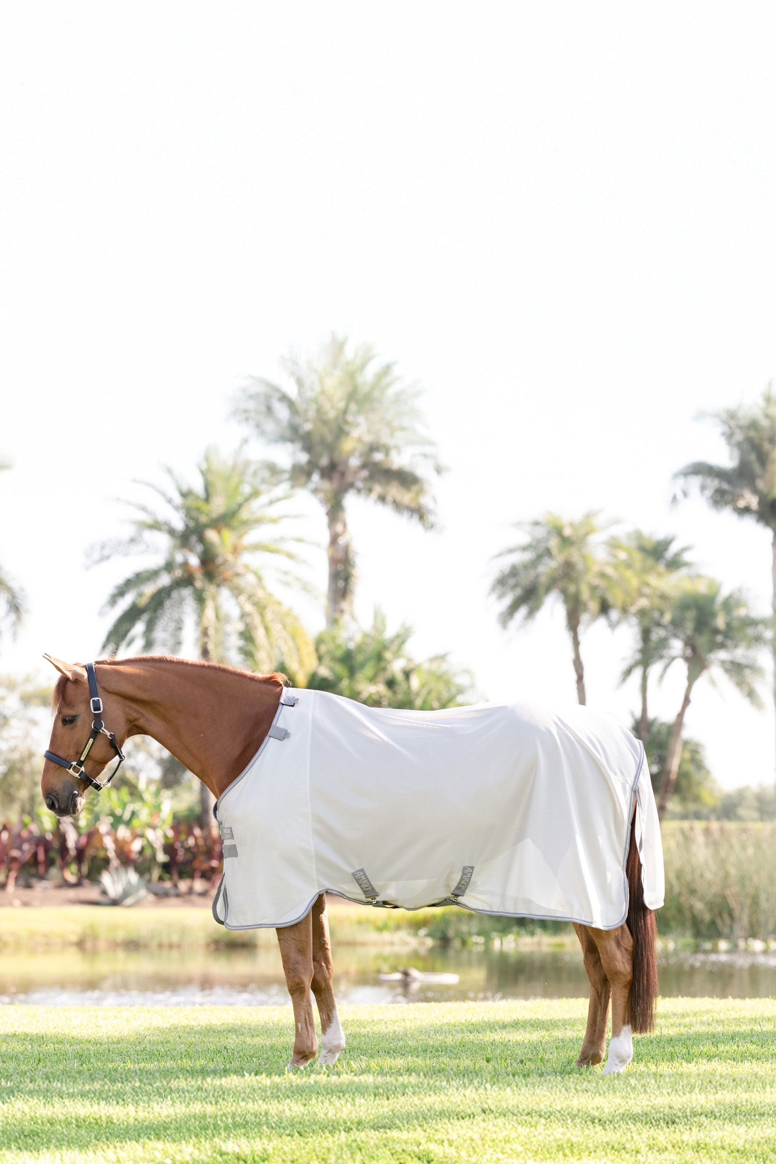 Horseware Amigo fluedekken med UV-beskyttelse Dekken