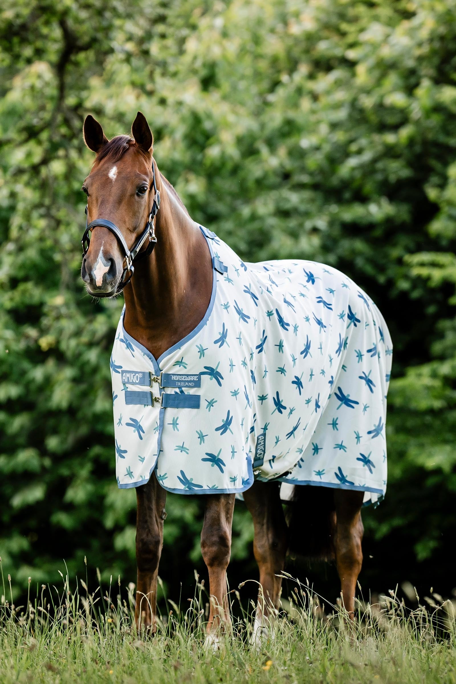 Horseware Amigo fluedekken med UV-beskyttelse Dekken