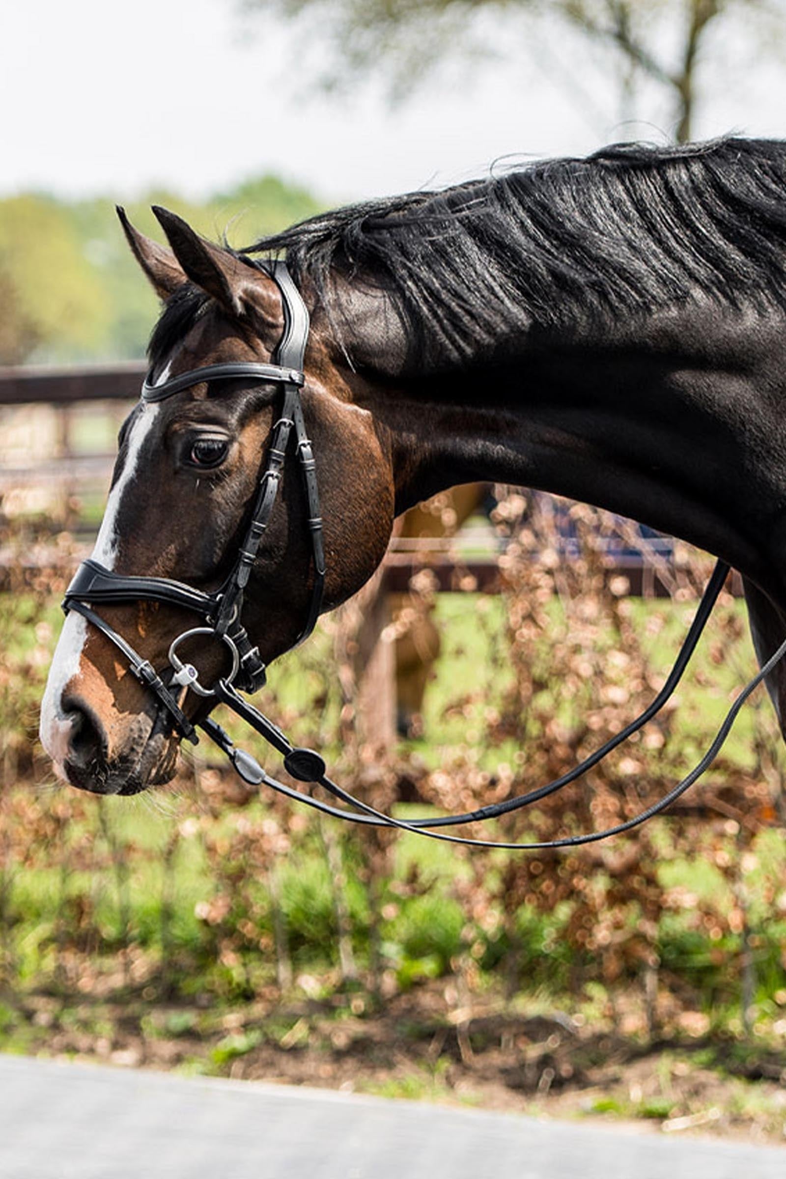 Trust Equestrian Falsterbo T-motion Bridle Bridles & Reins