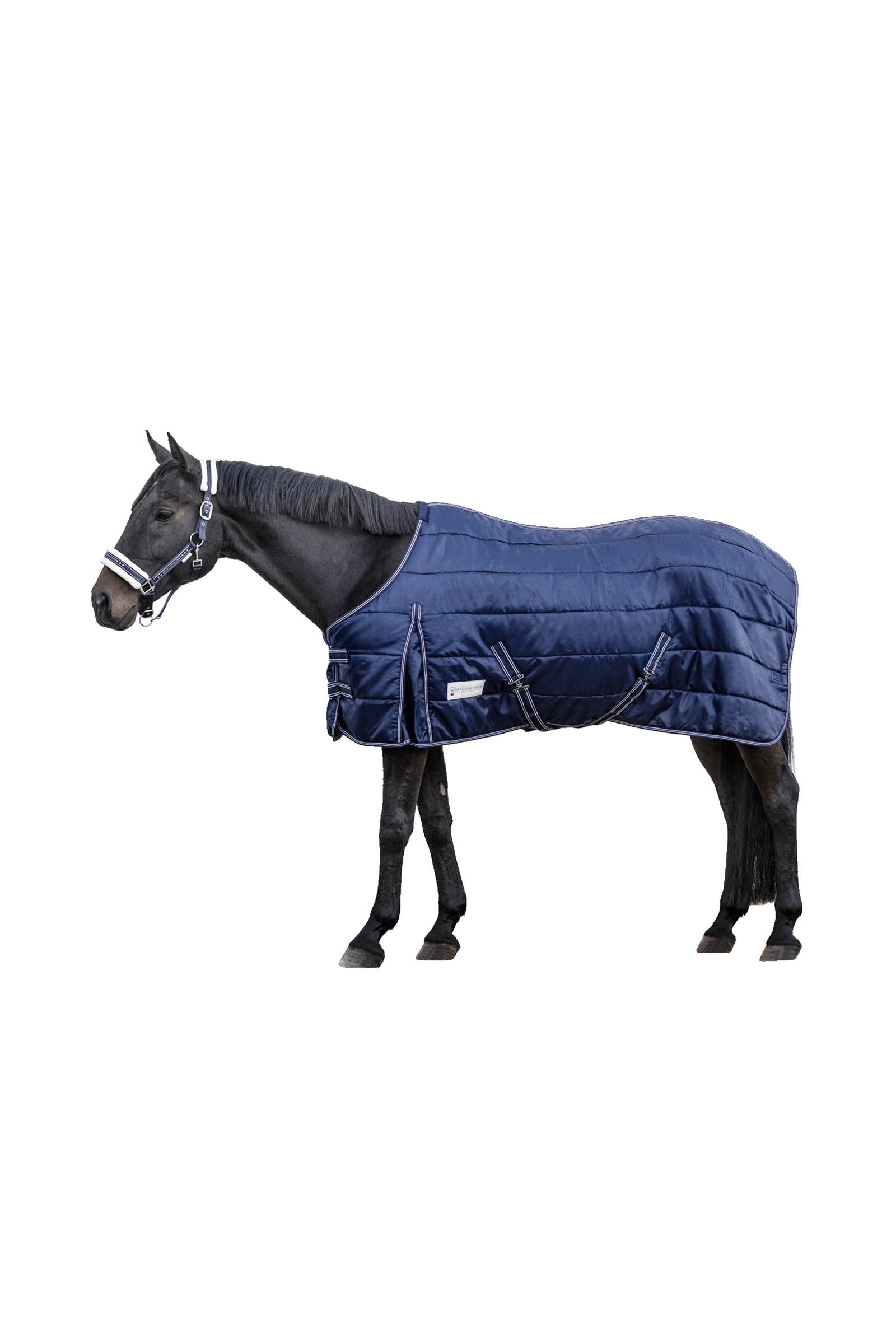 Waldhausen Stable Rug Economic 300 g Dekken