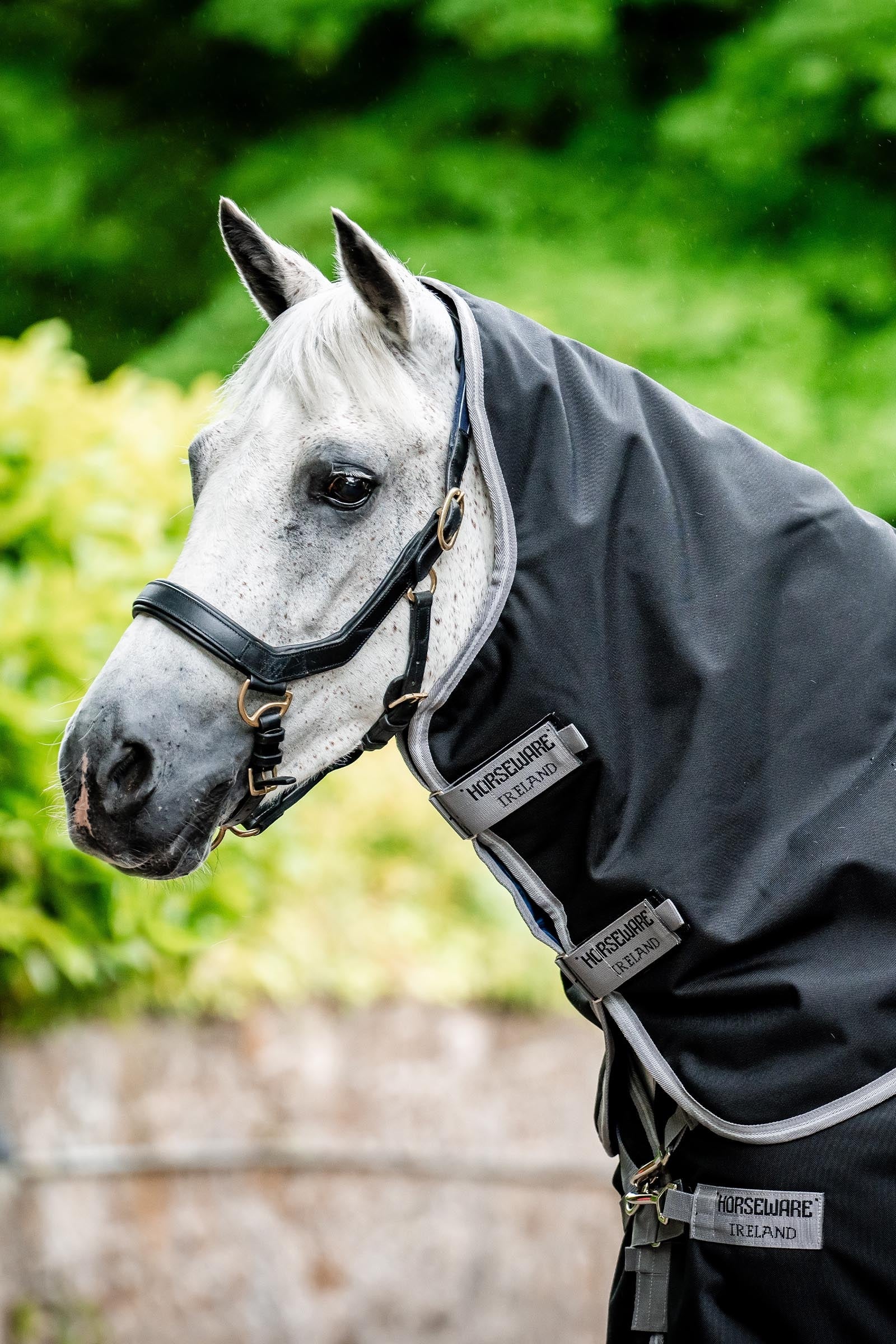 Horseware Amigo Bravo 12 Plus Turnout Rug, 250 g Horse Rugs