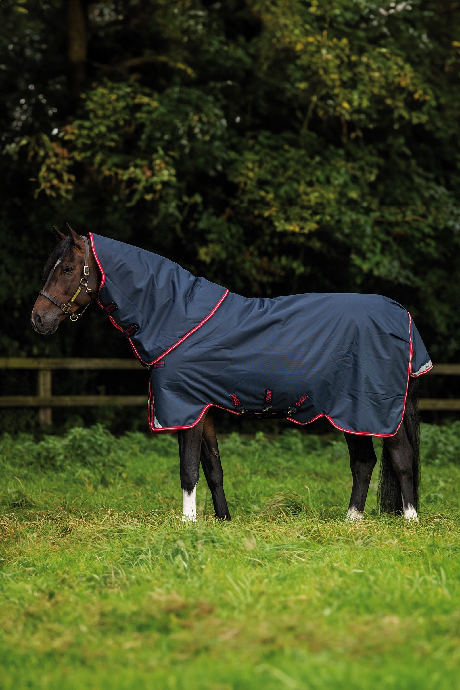 Horseware Amigo Bravo 12 Plus utedekken, 250 g Dekken